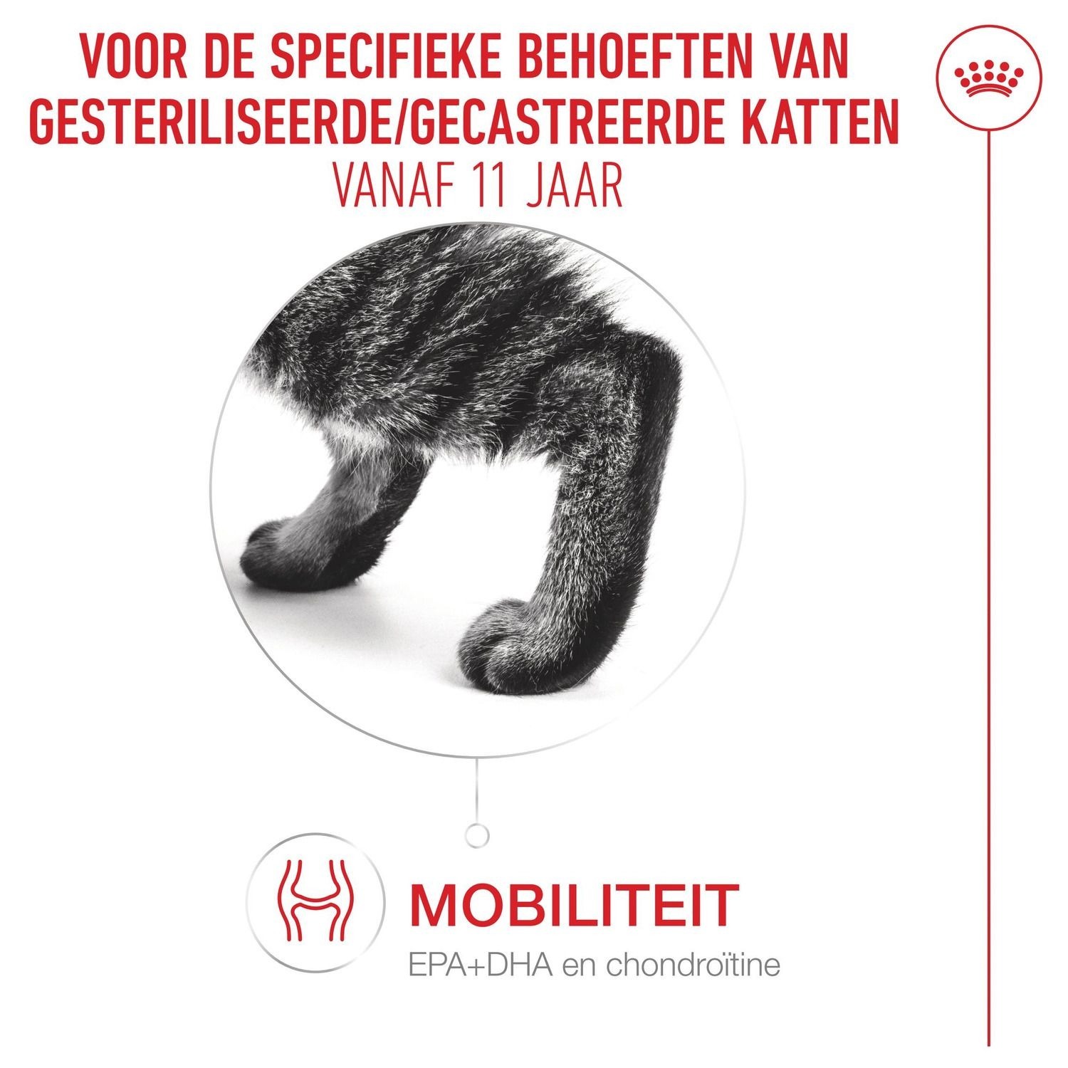 Сухий корм для дорослих стерилізованих кішок Royal Canin Sterilised 11+ 2 кгфото