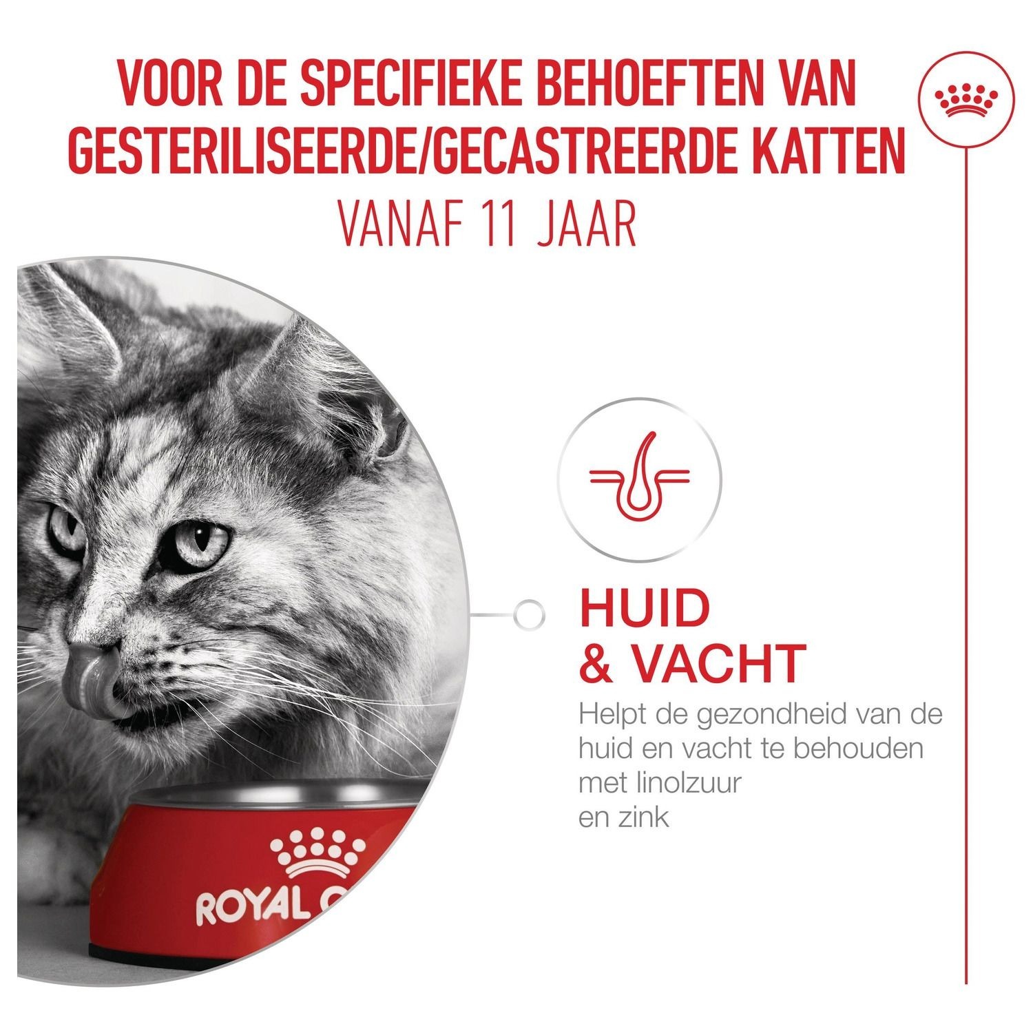 Сухий корм для дорослих стерилізованих кішок Royal Canin Sterilised 11+ 2 кгфото