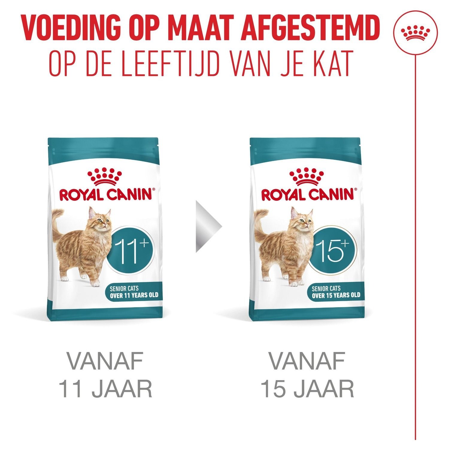 Сухий корм для дорослих стерилізованих кішок Royal Canin Sterilised 11+ 2 кгфото