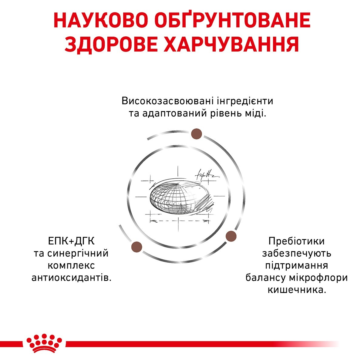 Сухой корм для взрослых кошек Royal Canin Hepatic Cat 4 кг фото 3