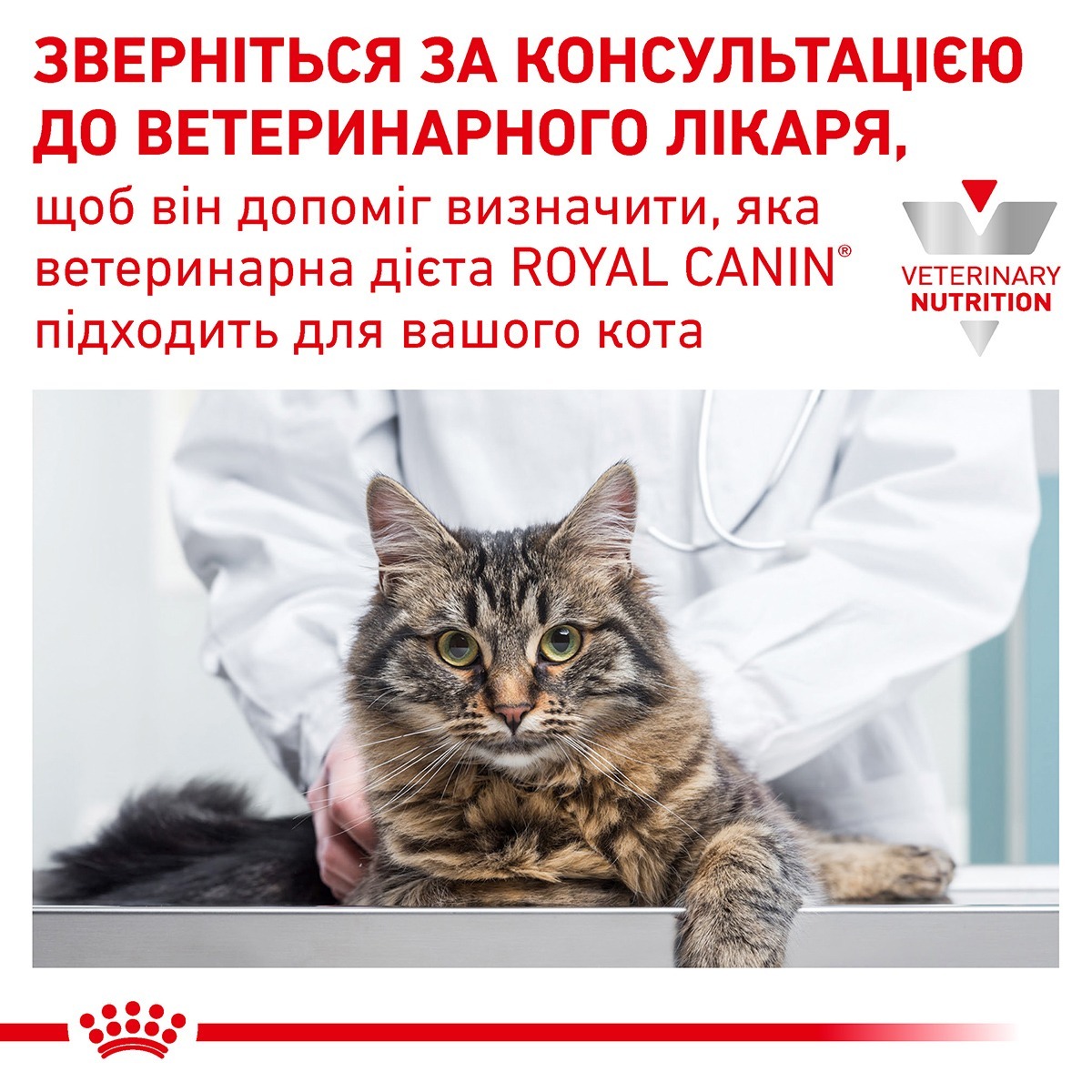 Сухой корм для взрослых кошек Royal Canin Hepatic Cat 4 кг фото 8