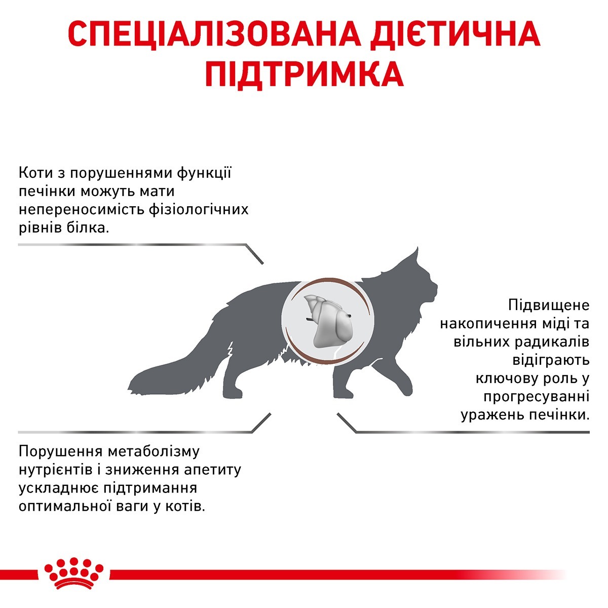 Сухой корм для взрослых кошек Royal Canin Hepatic Cat 4 кг фото 6