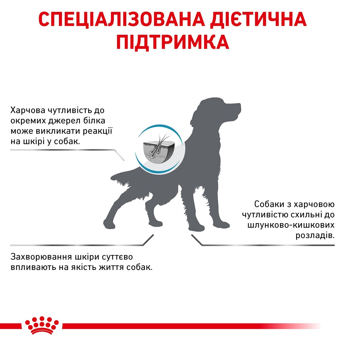 Сухий корм для собак Royal Canin Anallergenic 3 кгфото2