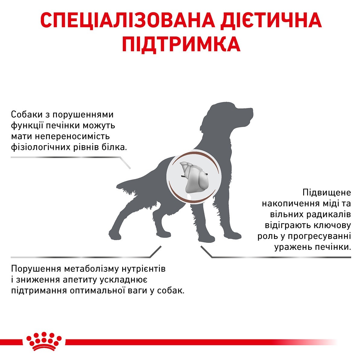 Сухий корм для собак Royal Canin Hepatic Dog 7.5 кгфото2