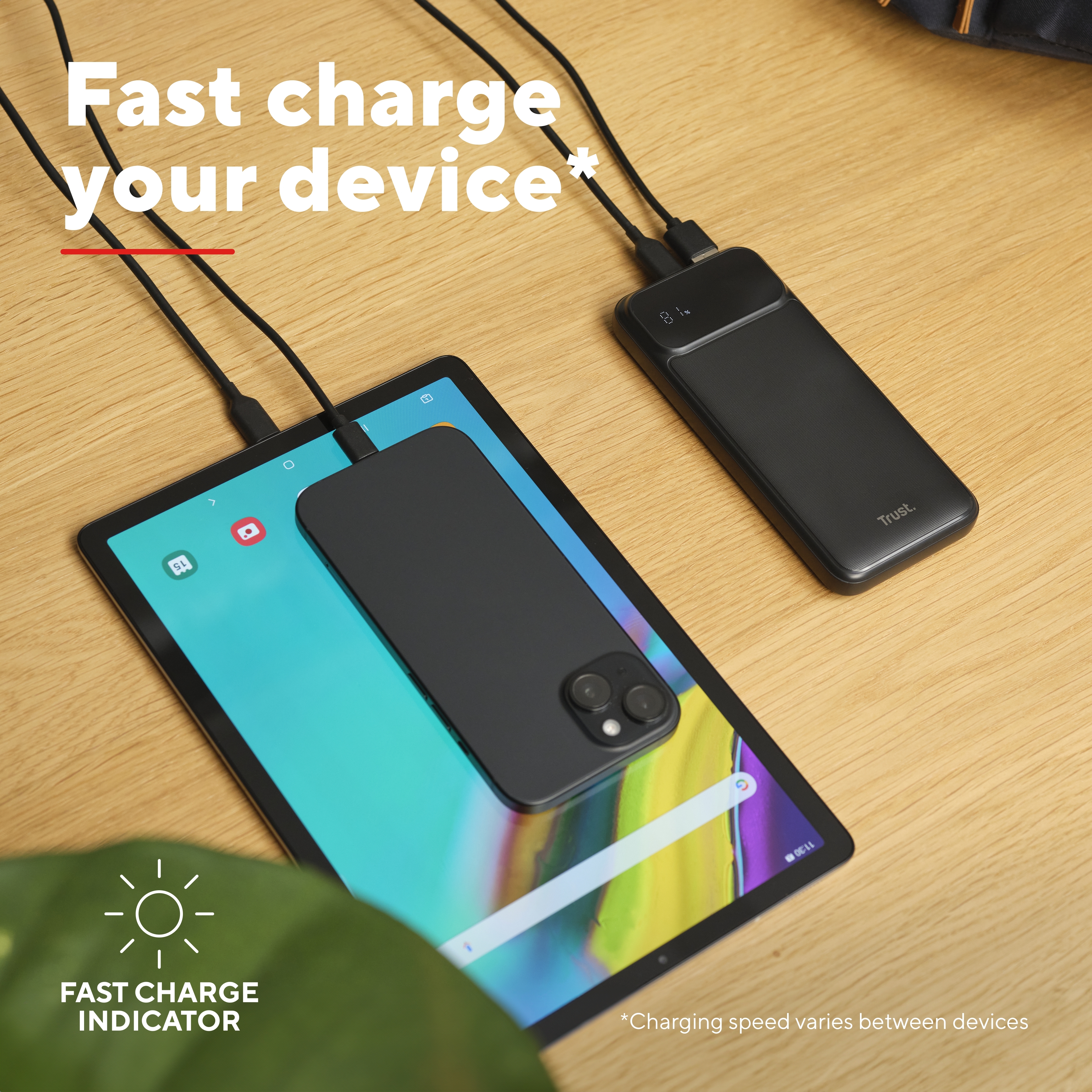 Портативное зарядное устройство Trust Avala 10000mAh 20W Black (25882_TRUST) фото 
