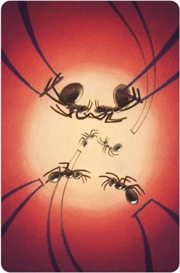 Настольная игра Dixit 8: Harmonies (Диксит 8: Гармонии) (3558380086055) фото 8