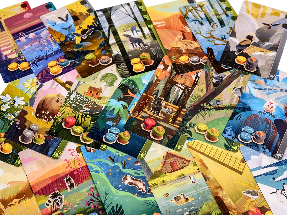 Настольная игра Гармония (UA) / Harmonies (UA) (3558380125020) фото 7