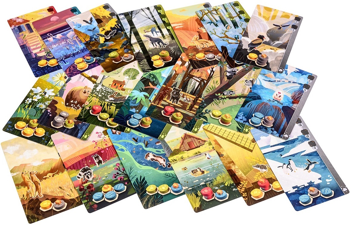 Настольная игра Гармония (UA) / Harmonies (UA) (3558380125020) фото 6