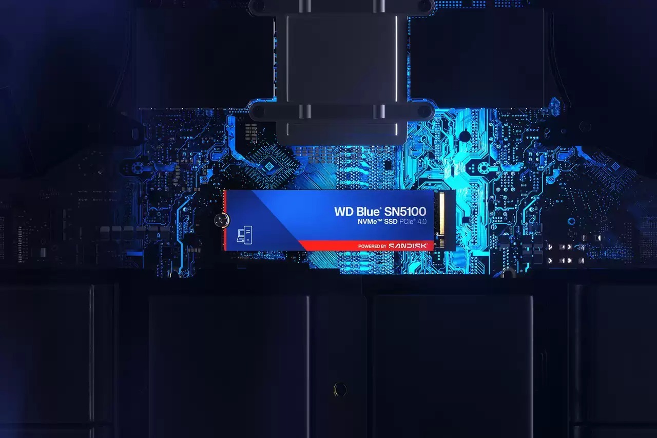 SSD накопичувач WD Blue SN5100 500GB (WDS500G5B0E-00CPE0)фото