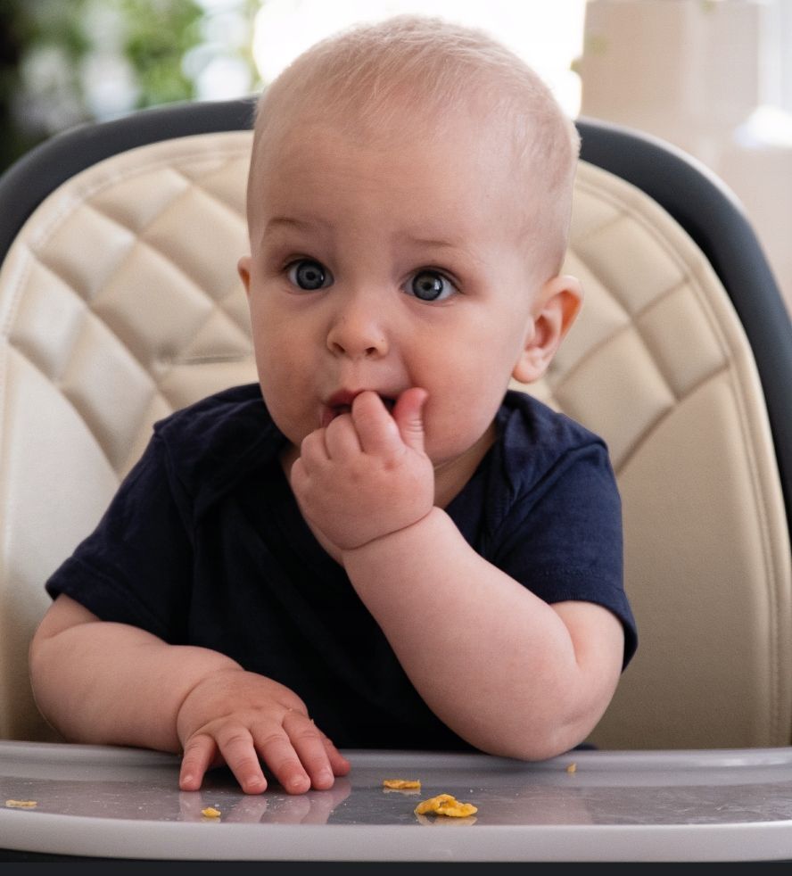 Стульчик для кормления Muuvo Choc2 Beige (M-CHOC-2-BEIGE) фото 11