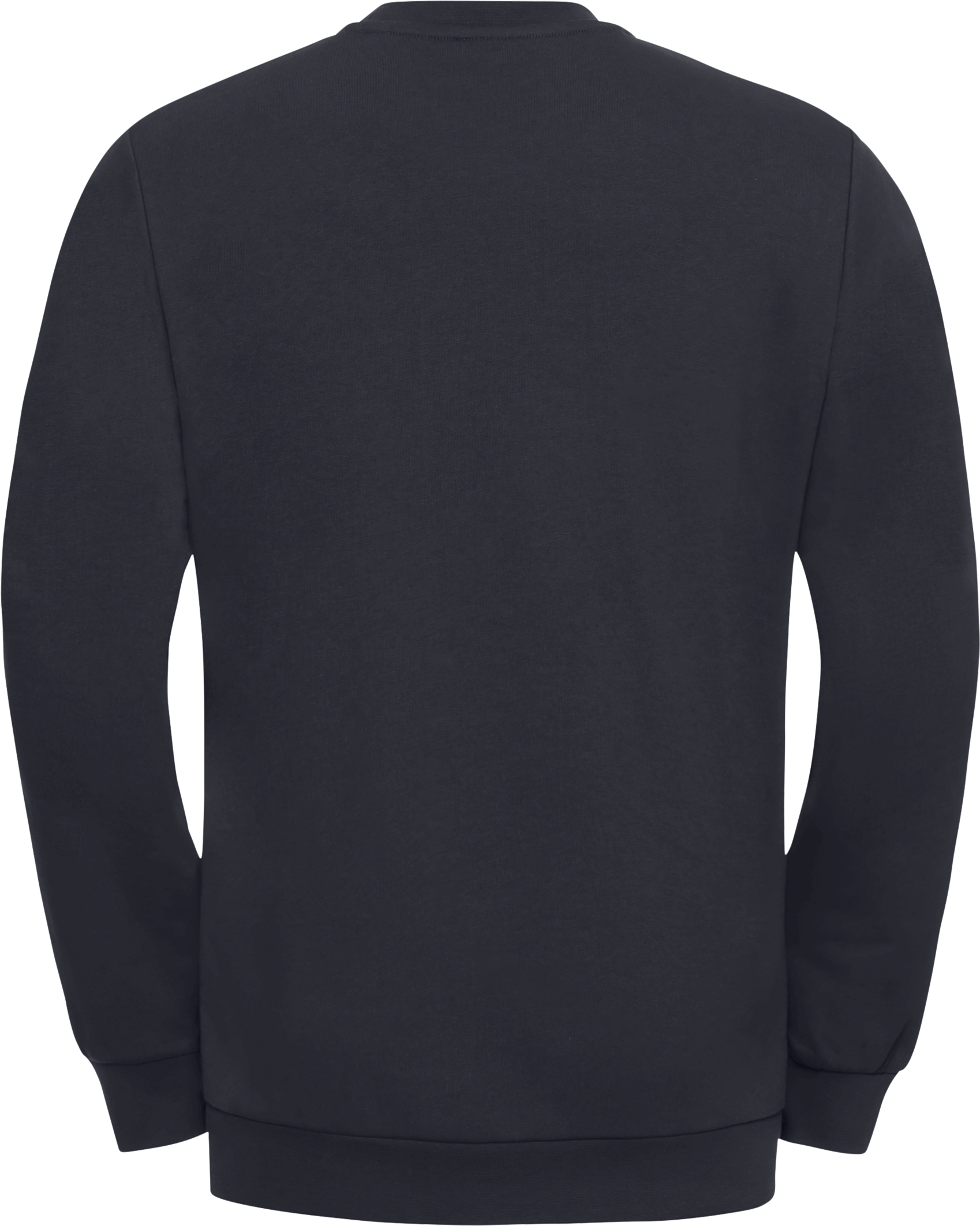 Свитшот мужской Jack Wolfskin Essential Crewneck M A63843_C0413 L темно-синий фото 7