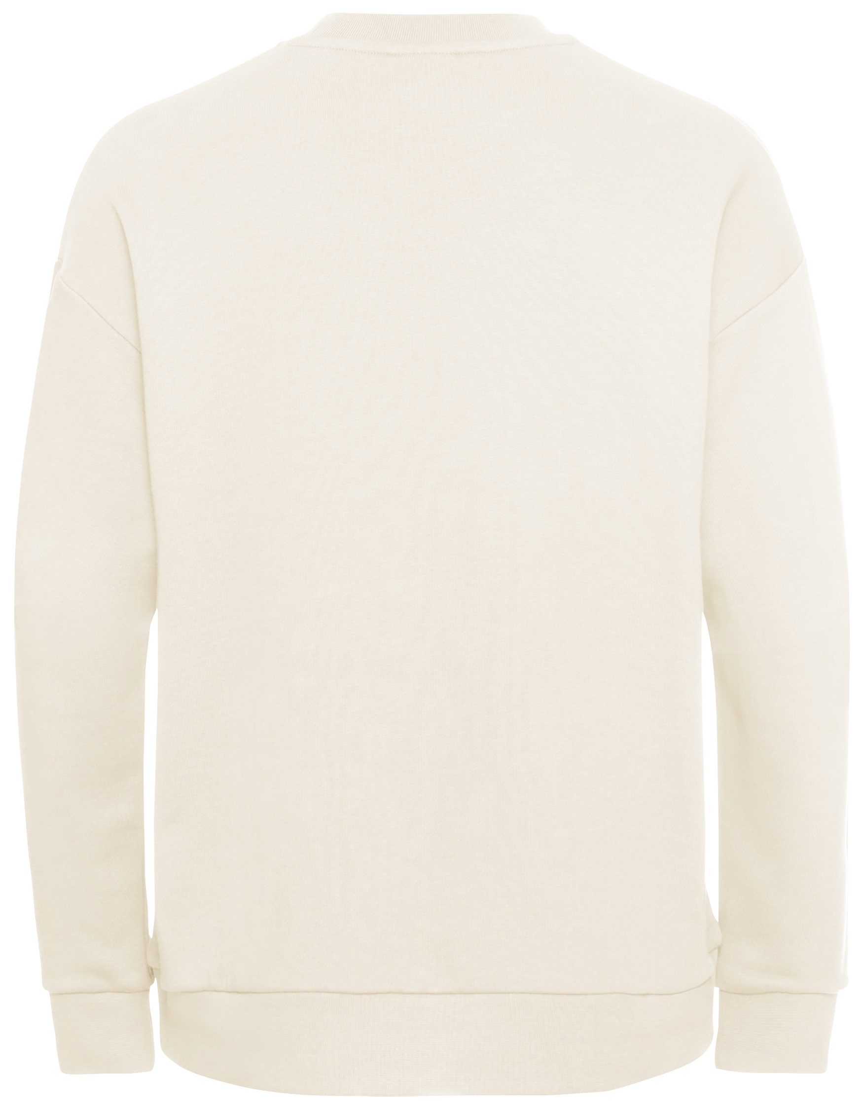 Свитшот женский Jack Wolfskin Essential Crewneck W A63871_5127 L бежевый фото 7