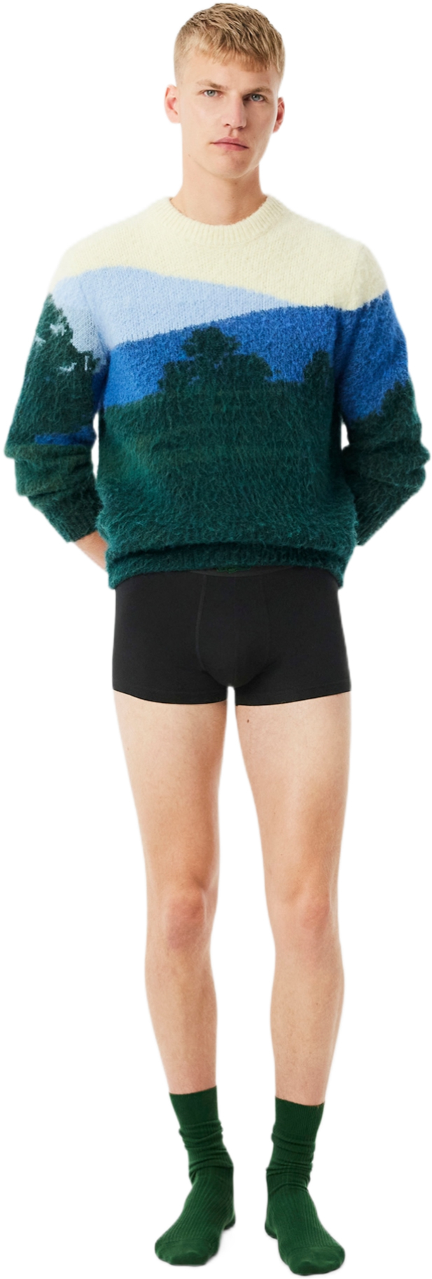 Мужские труси-боксеры Lacoste 5H4962031 L 3 шт. черный-антрацит фото 2