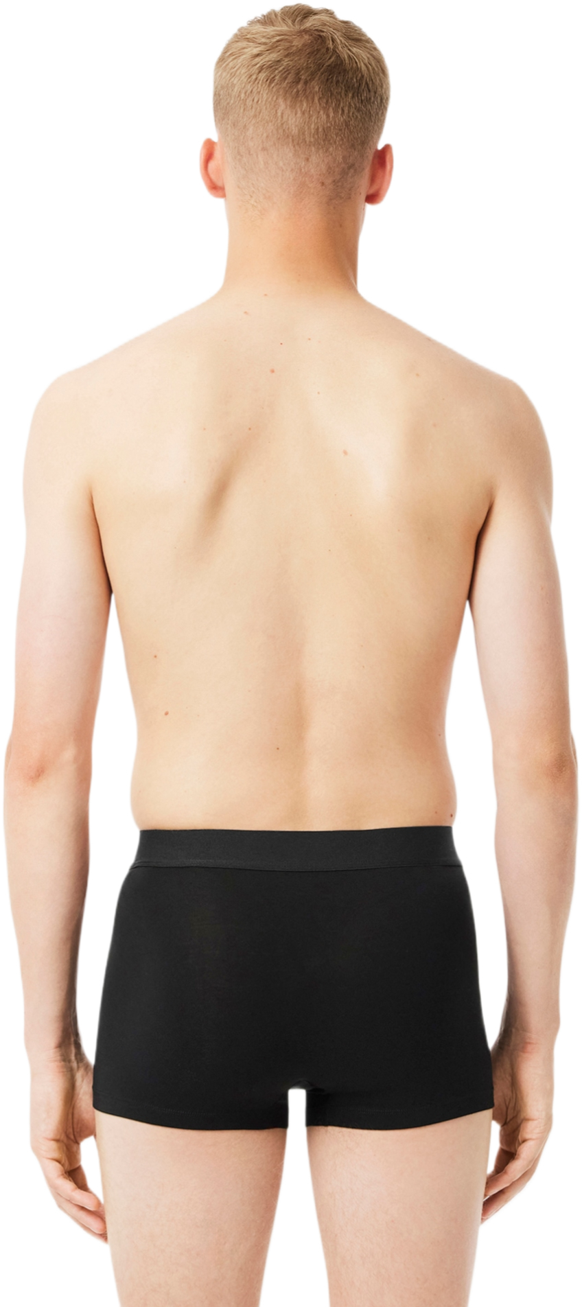 Мужские труси-боксеры Lacoste 5H4962031 L 3 шт. черный-антрацит фото 3