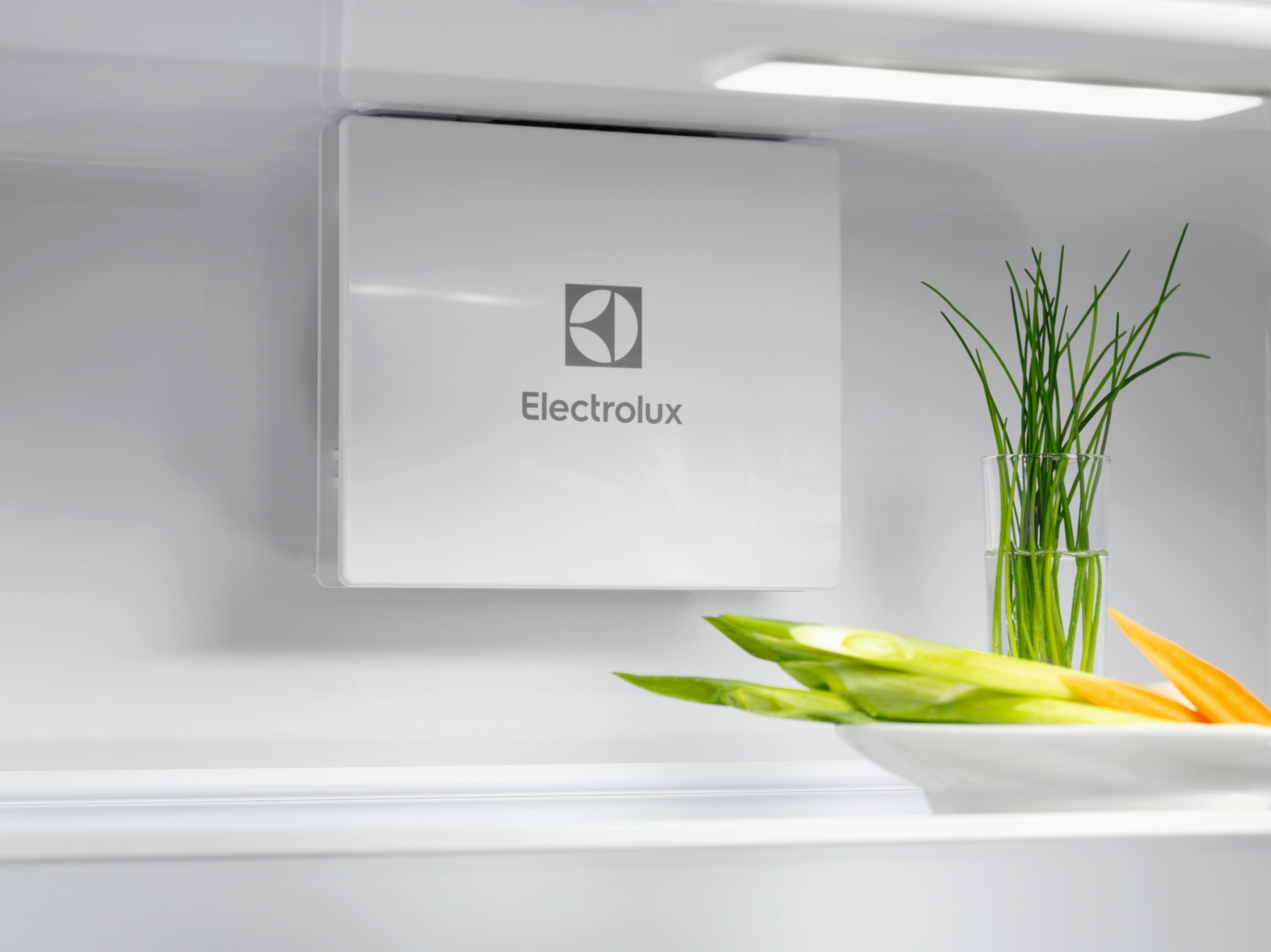 Холодильна камера Electrolux ERD6DE18S4фото7