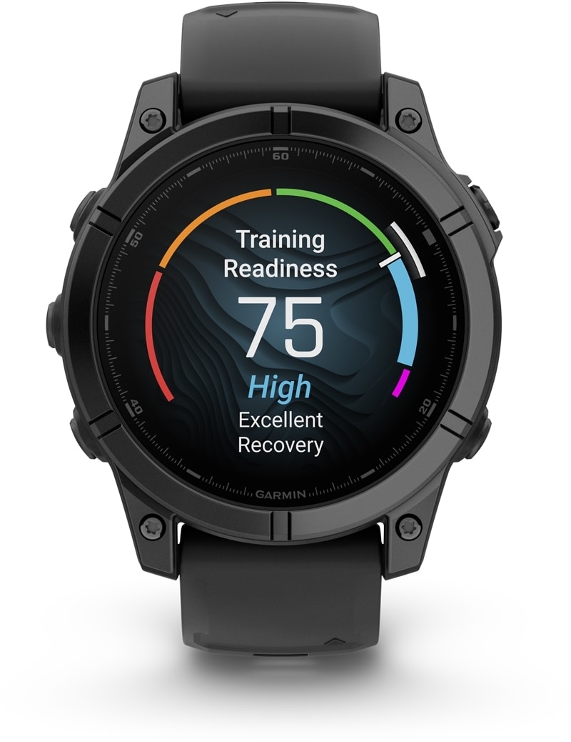 Смарт-часы Garmin Fenix E 47mm Slate Gray Steel/Black (010-03025-01) фото 