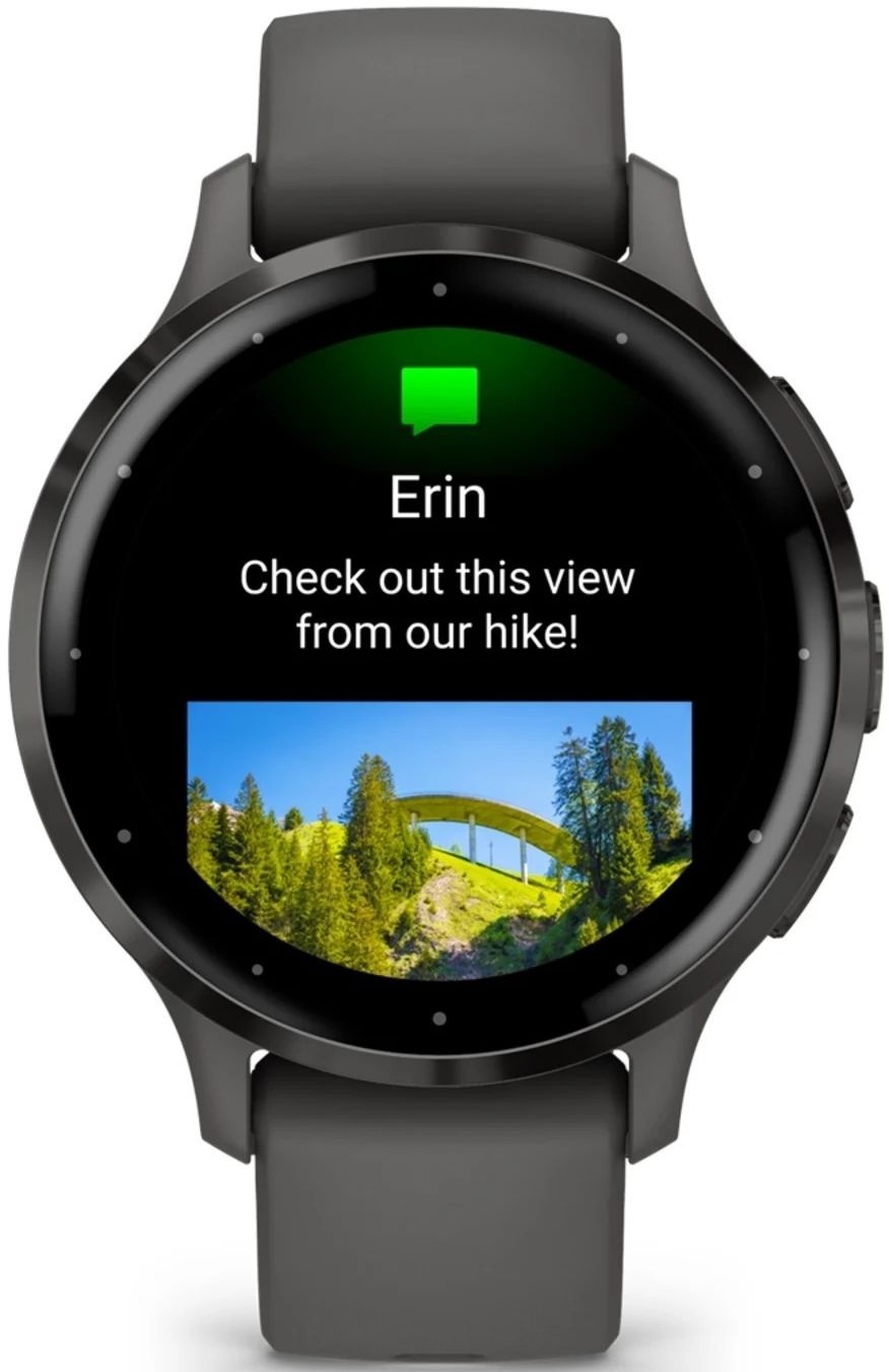 Смарт-часы Garmin Venu 3S Pebble Gray + Slate (010-02785-00) фото 