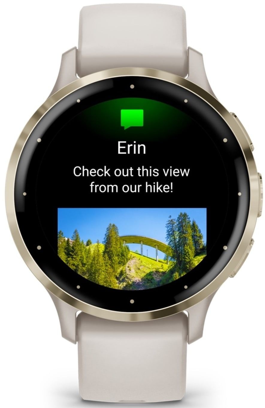 Смарт-часы Garmin Venu 3S Ivory + Soft Gold (010-02785-04) фото 