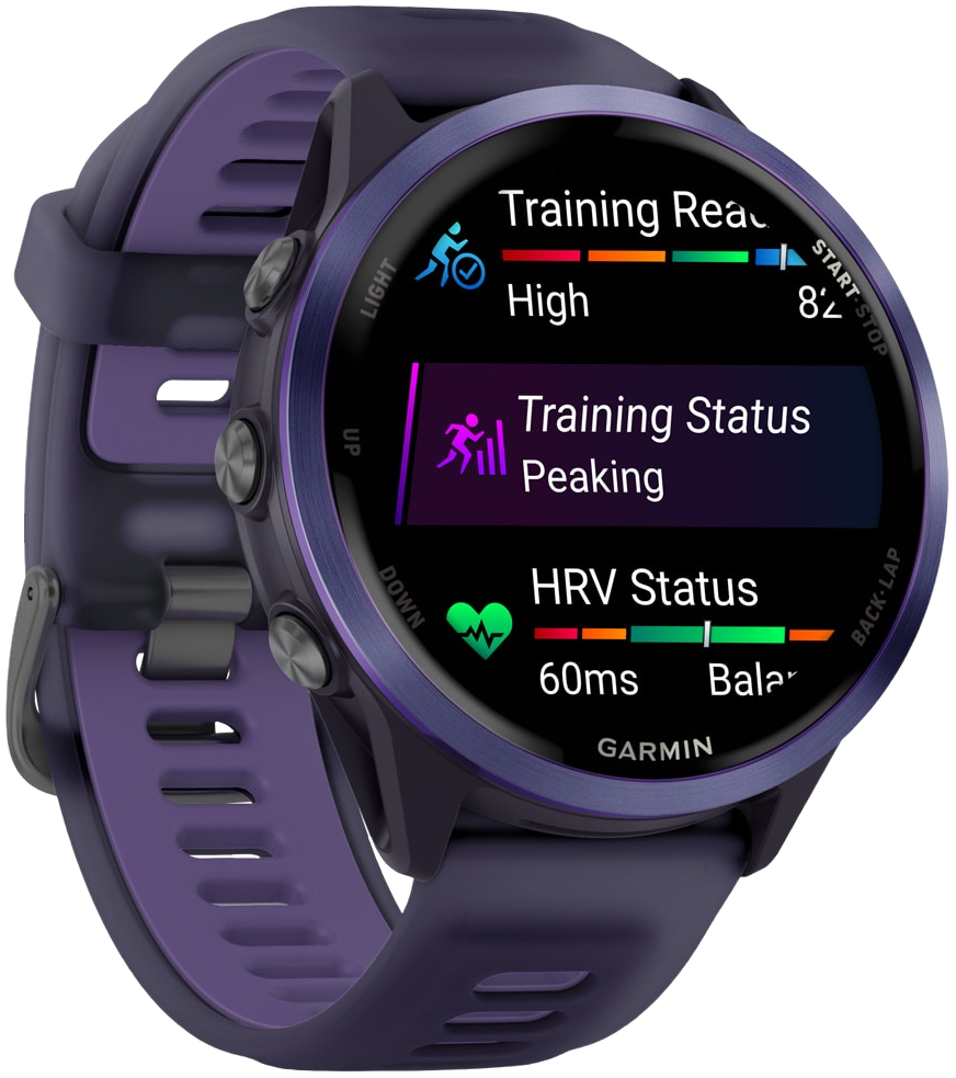 Смарт-часы Garmin Forerunner 570 47MM Imperial Purple/Indigo (010-02971-02) фото 