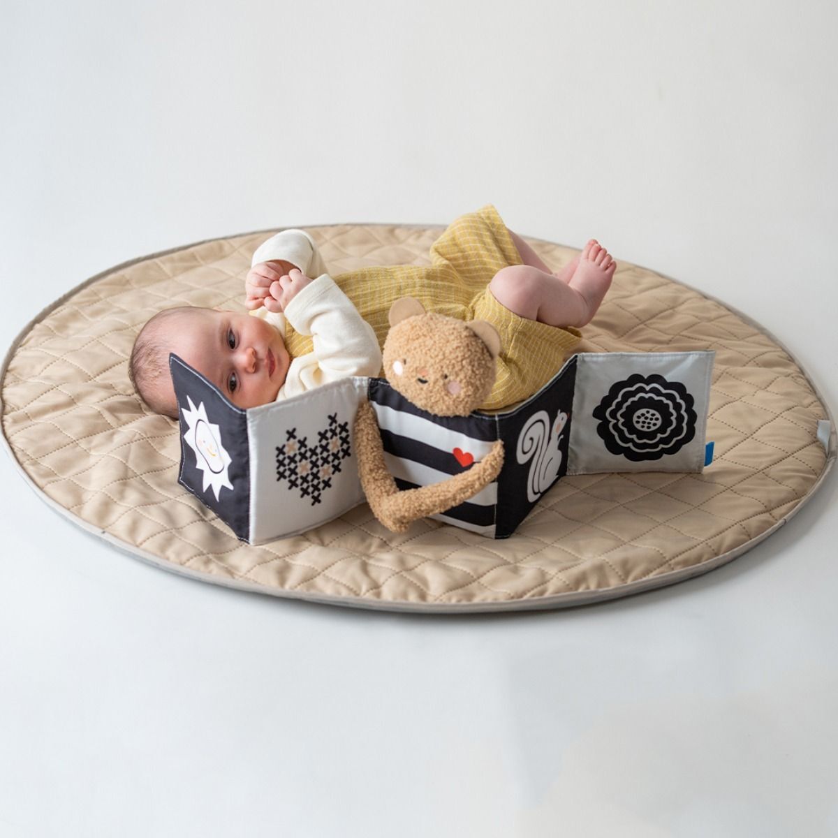 Розвиваюча книжка-розкладачка 2-в-1 – Обійми Ведмедика (13795)фото8