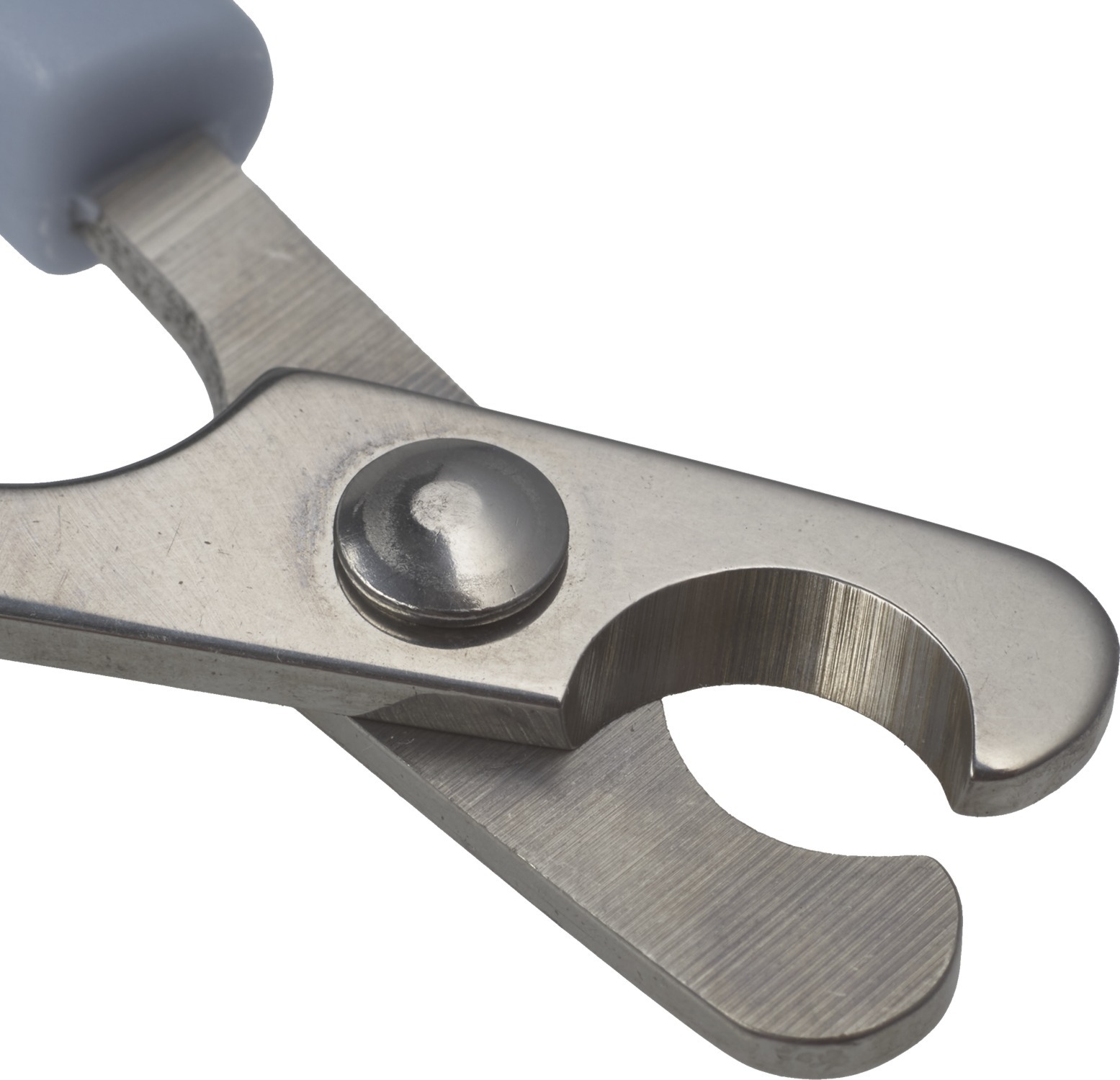 Кігтеріз - ножиці AnimAllфото