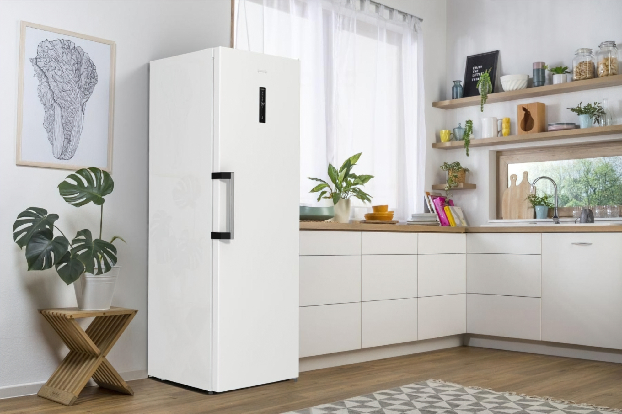 Холодильная камера Gorenje R619EAW6 фото 17