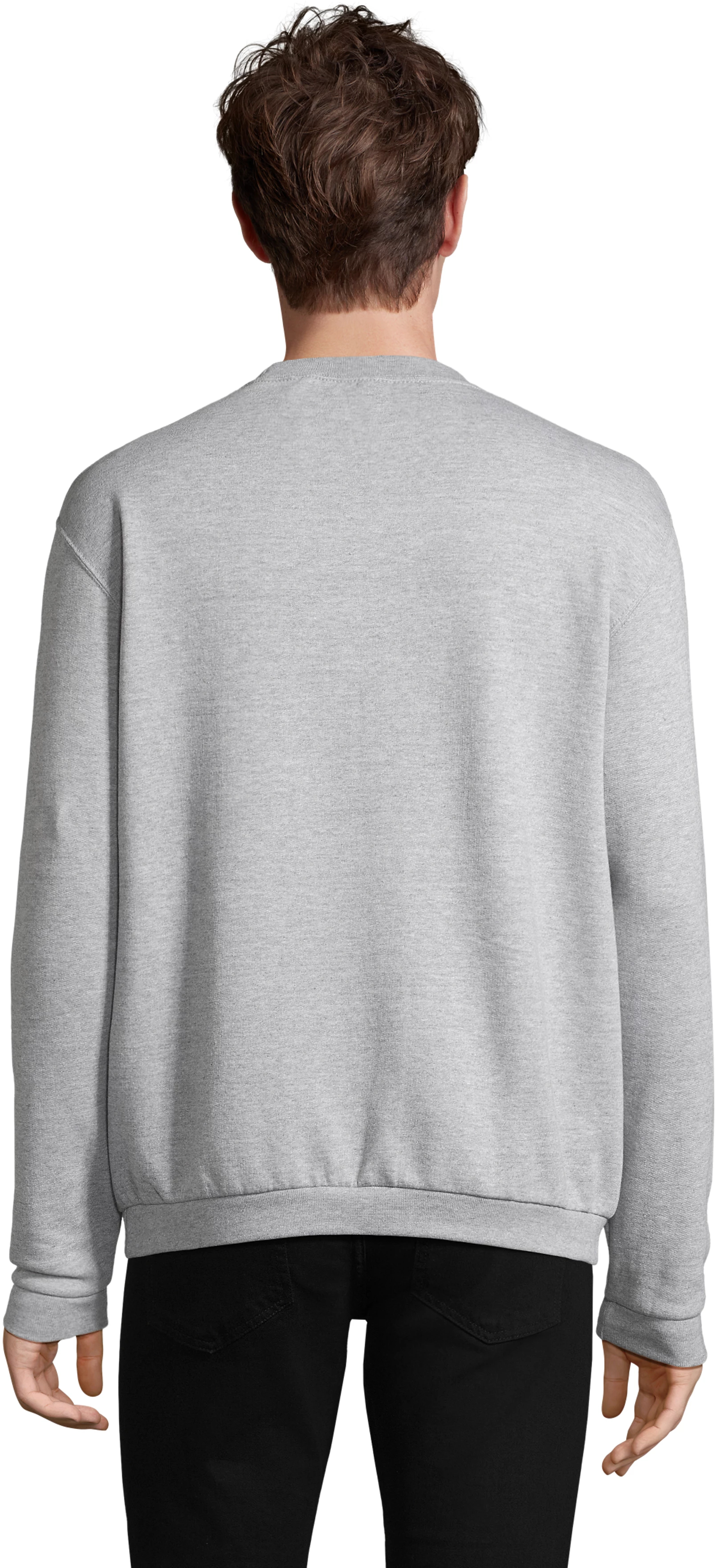 Світшот чоловічий Sol’s SPIDER 01168360 M сірий меланжфото2