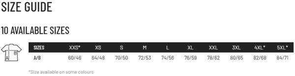Футболка бавовняна чоловіча Sol’s REGENT 11380102/313 L білийфото3