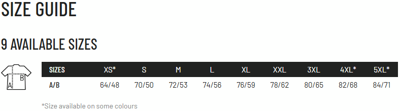 Футболка хлопковая мужская Sol’s Imperial 11500245 L серо-голубой фото 