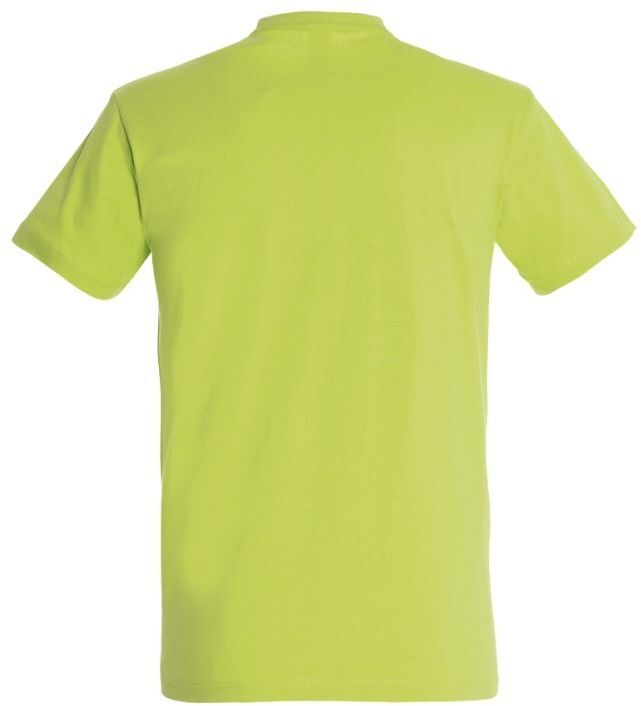 Футболка хлопковая мужская Sol’s Imperial 11500280 L зеленый фото 5