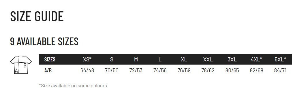 Футболка хлопковая мужская Sol’s Imperial 11500381/401 L графитовый фото 5