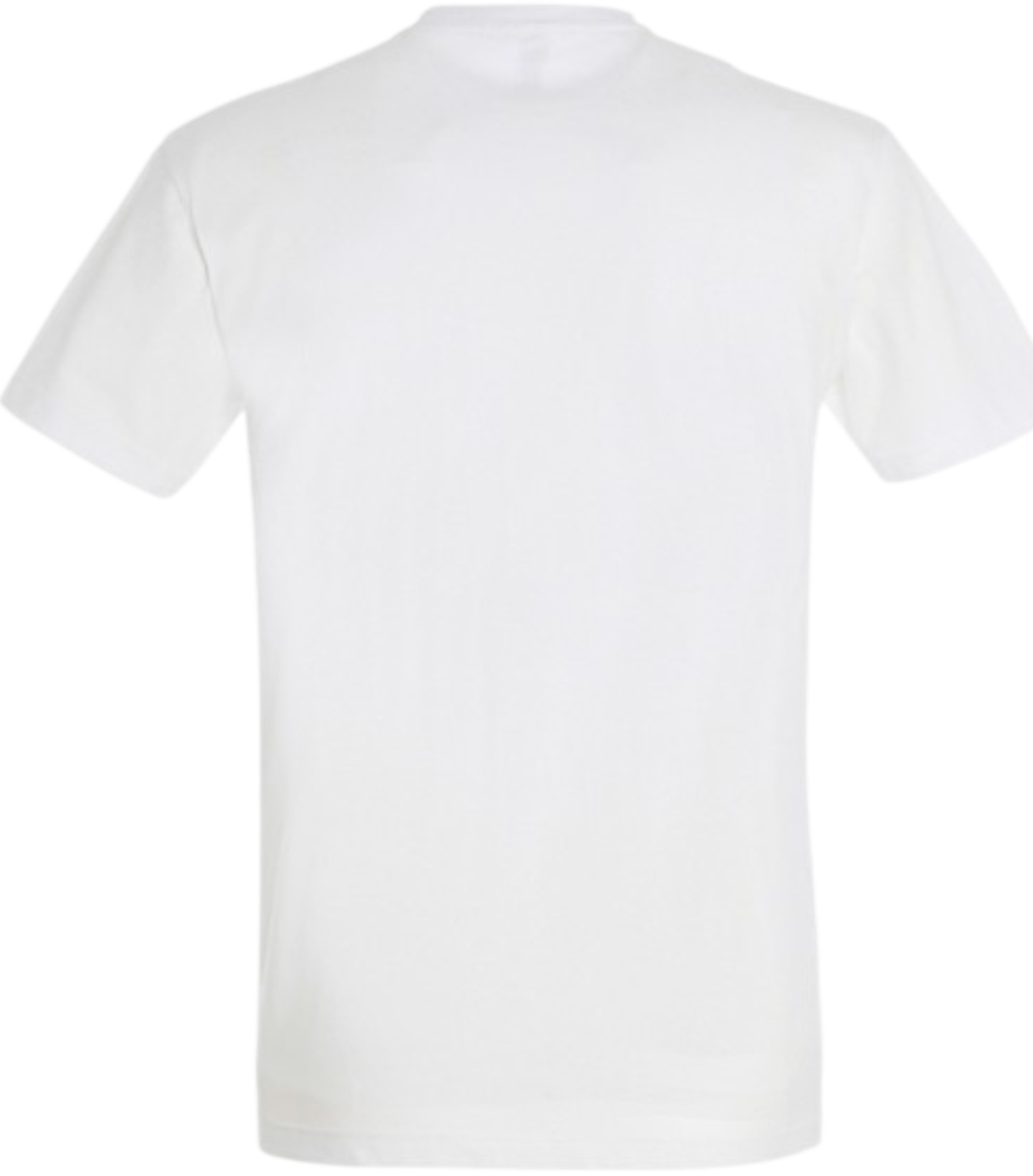 Футболка мужская Sol’s MILANO 11934102 L белый фото 3