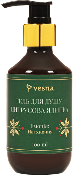 Різдвяний набір Vesna Нова Радістьфото