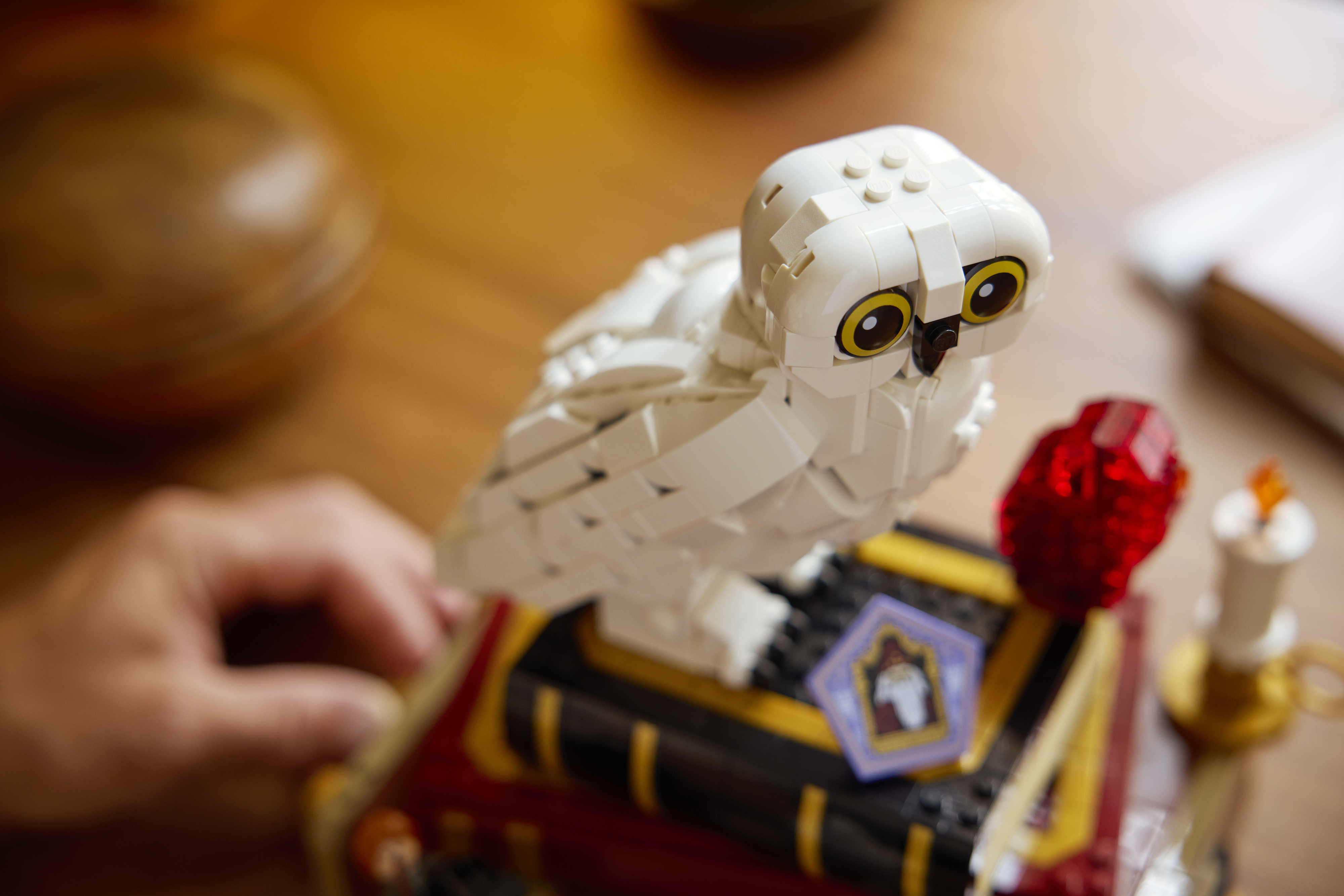 LEGO 76466 Harry Potter Философский камень. Коллекционный набор фото 10