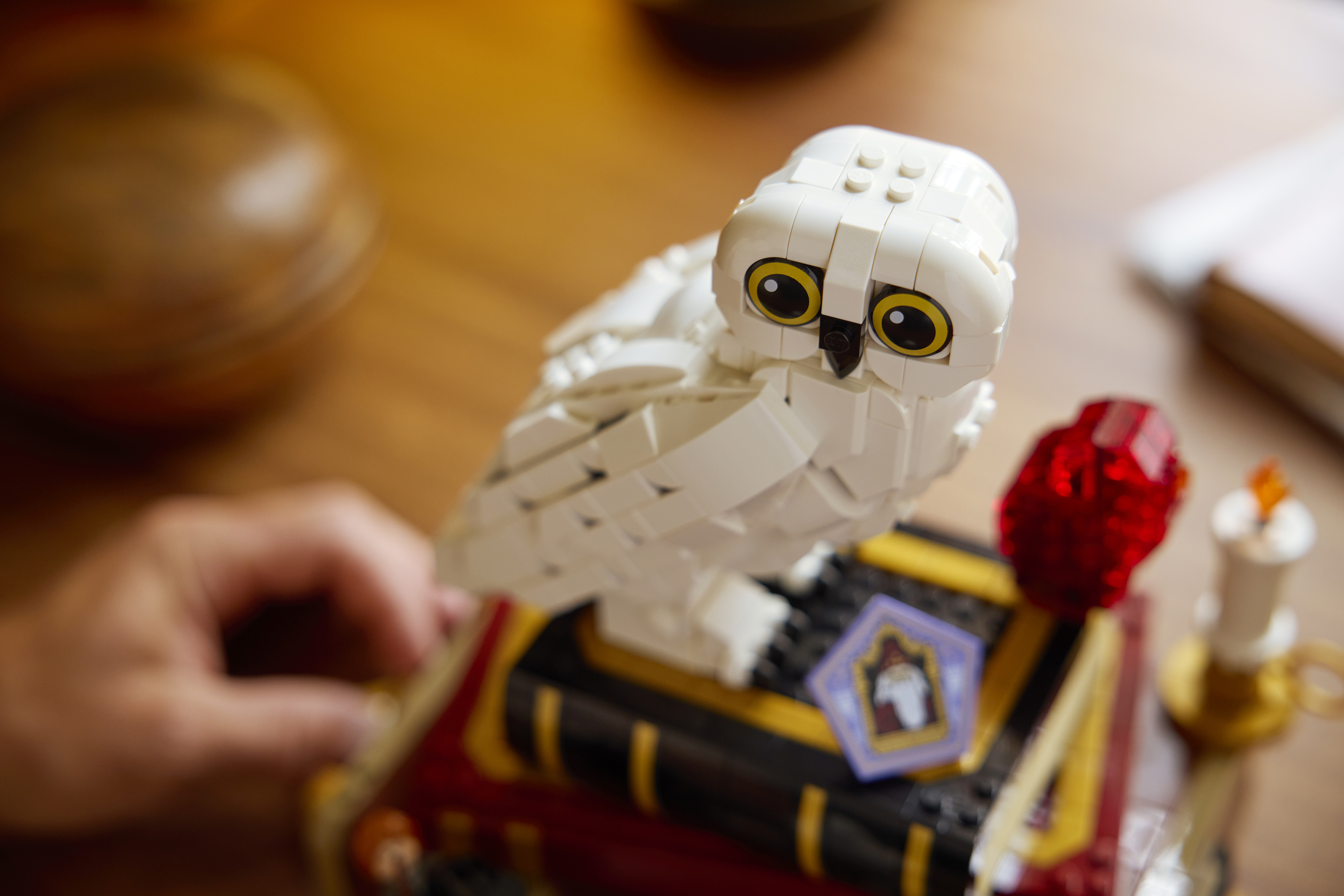 LEGO 76466 Harry Potter Философский камень. Коллекционный набор фото 12