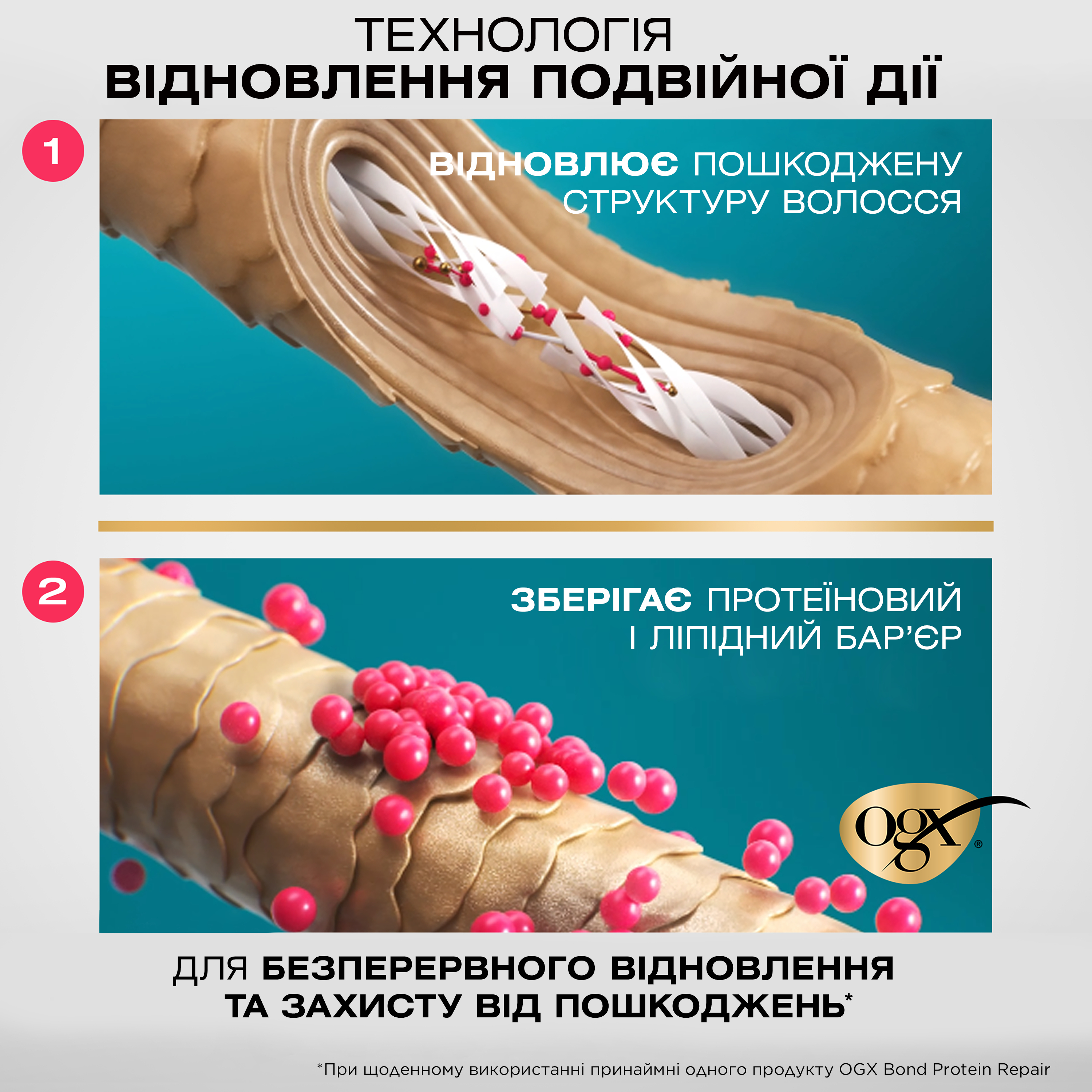 Відновлюючий шампунь OGX Bond Protein Repair з протеїнами 385 мл фото5