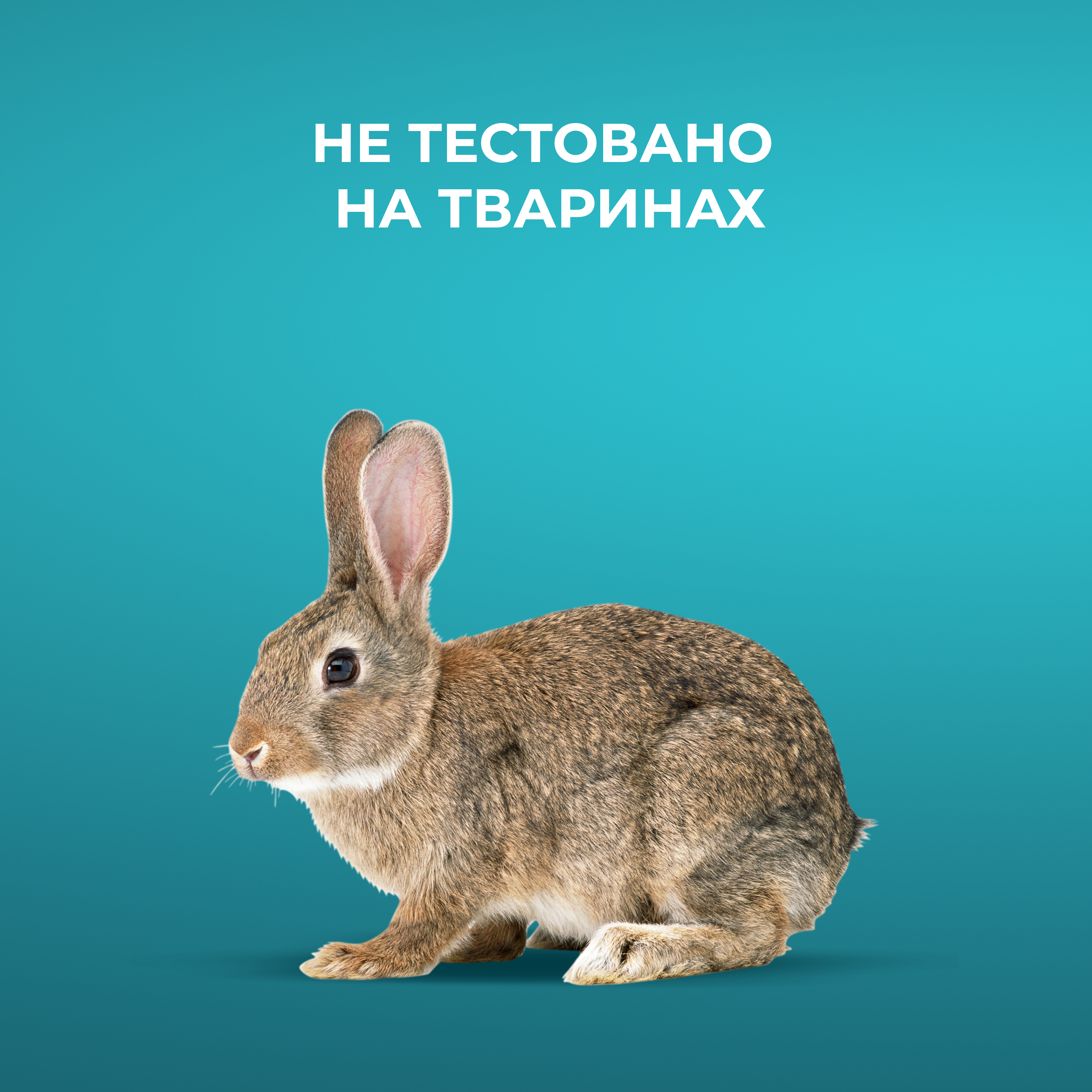 Відновлюючий шампунь OGX Bond Protein Repair з протеїнами 385 мл фото9