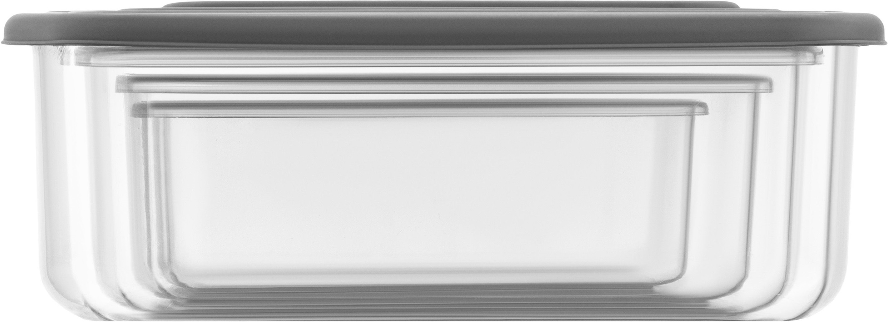 Набір контейнерів ARDESTO Fresh 0.25/0.5/0.75/1.2л, сірий (AR1312R)фото