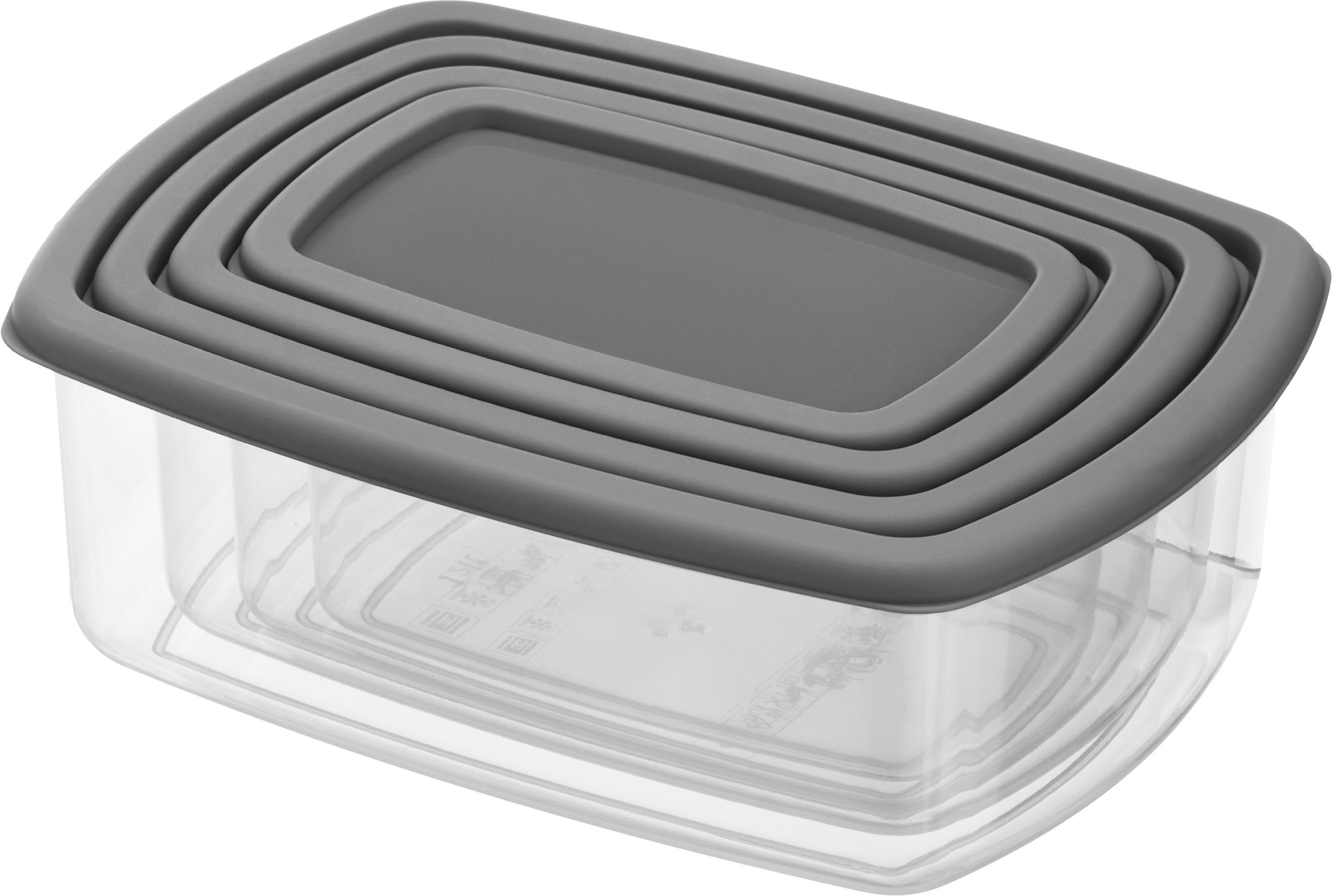 Набір контейнерів ARDESTO Fresh 0.25/0.5/0.75/1.2л, сірий (AR1312R)фото