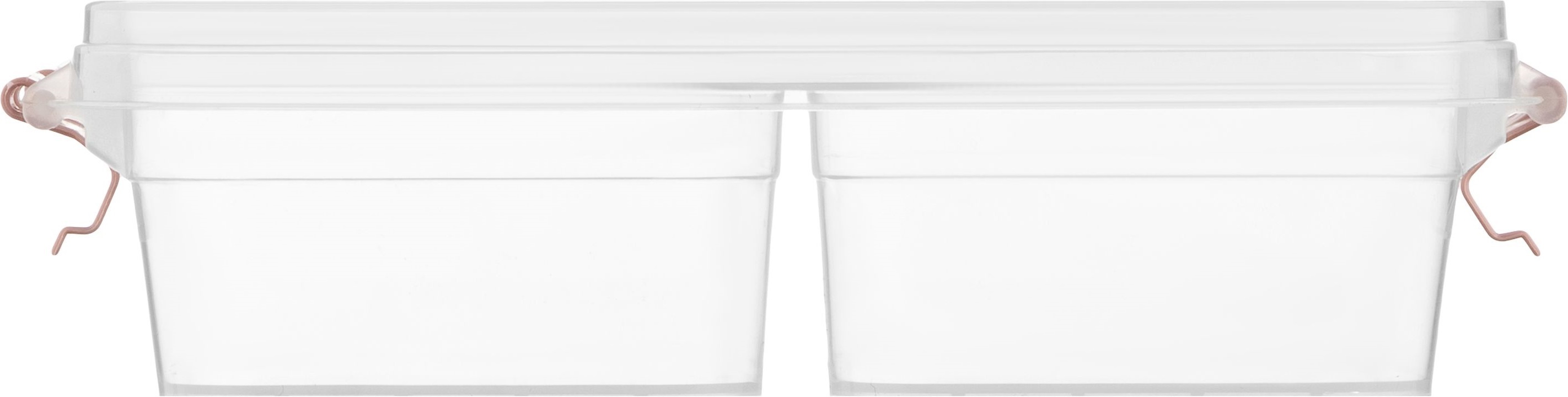 Контейнер двосекційний ARDESTO Fresh 2х0.25л, рожевий (AR1302P)фото