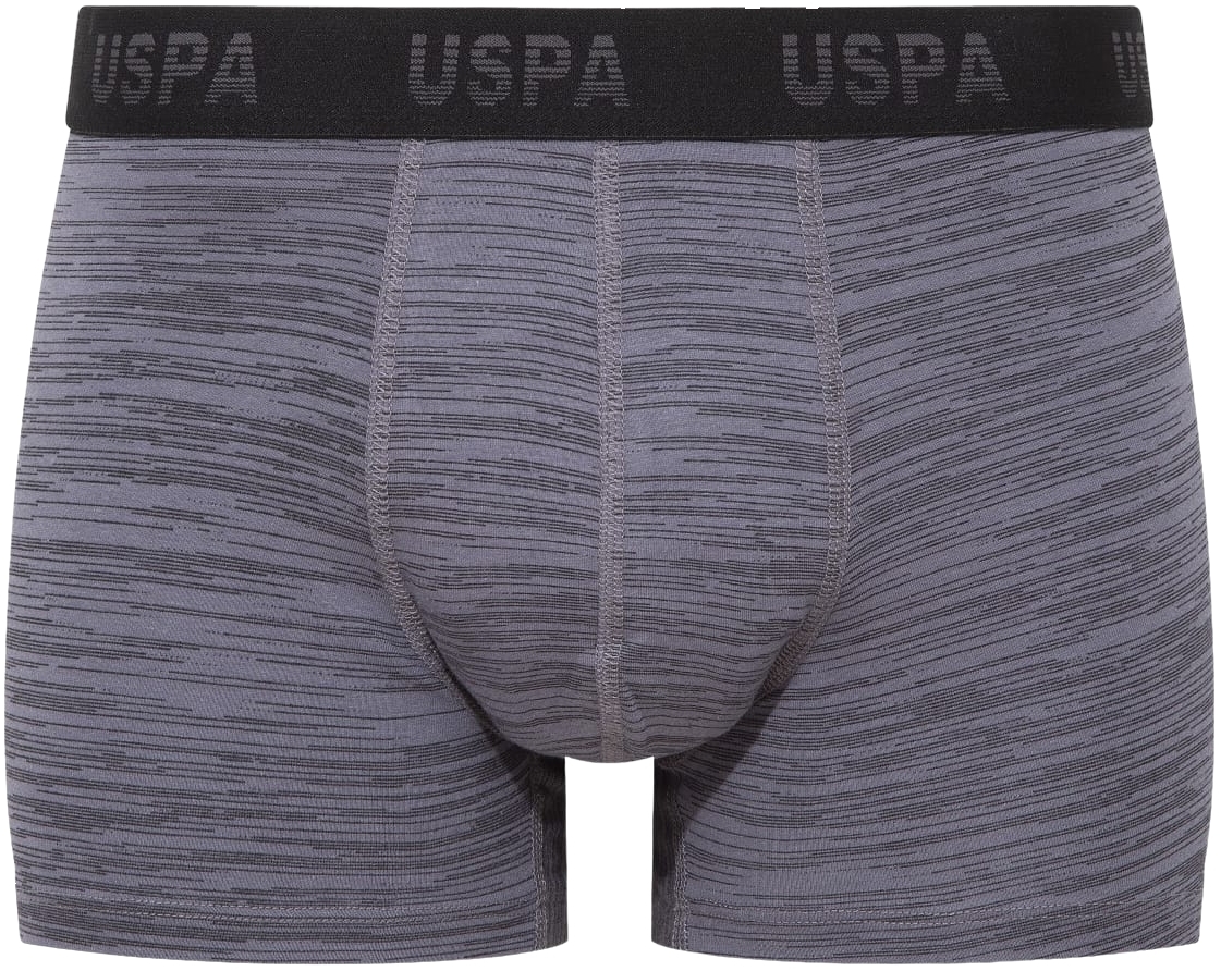 Набор трусов мужских U.S. Polo Assn. 80505 L 3 шт. серый/черный/принтованый (8680557421194) фото 2