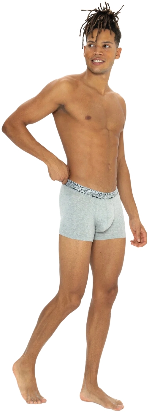 Набор трусов мужских U.S. Polo Assn. 80543-2 L 3 шт. черный/темно-синий/серый (8680557451863) фото 