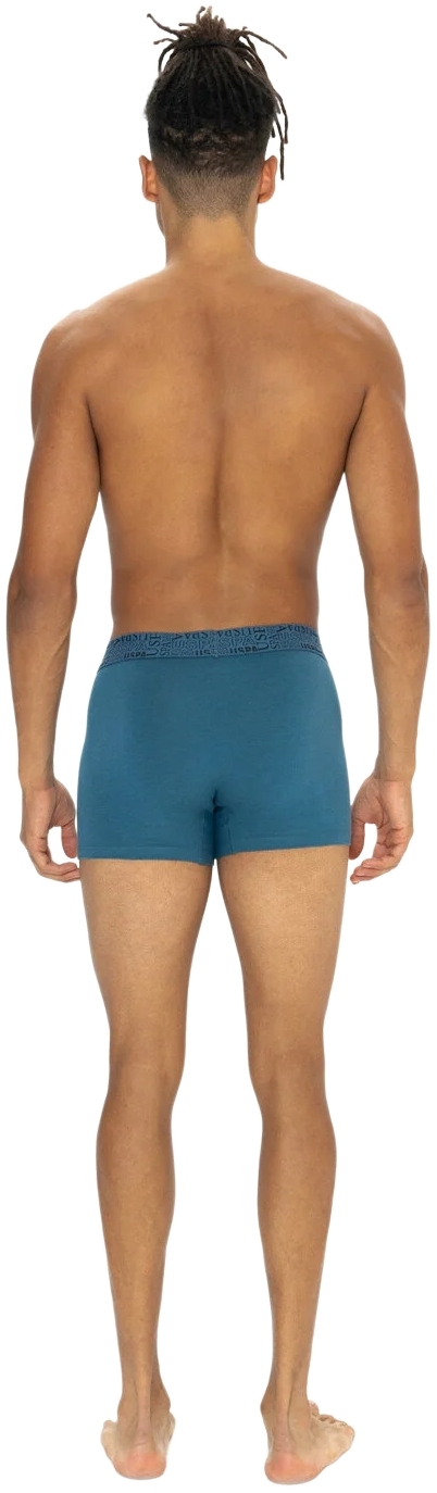 Набор трусов мужских U.S. Polo Assn. 80543-1 L 3 шт. черный/темно-синий/серый (8680557451818) фото 