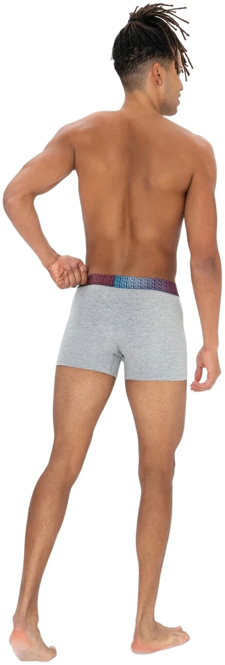 Набор трусов мужских U.S. Polo Assn. 80571 XL 3 шт. серый/черный/темно-синий (8680557451429) фото 