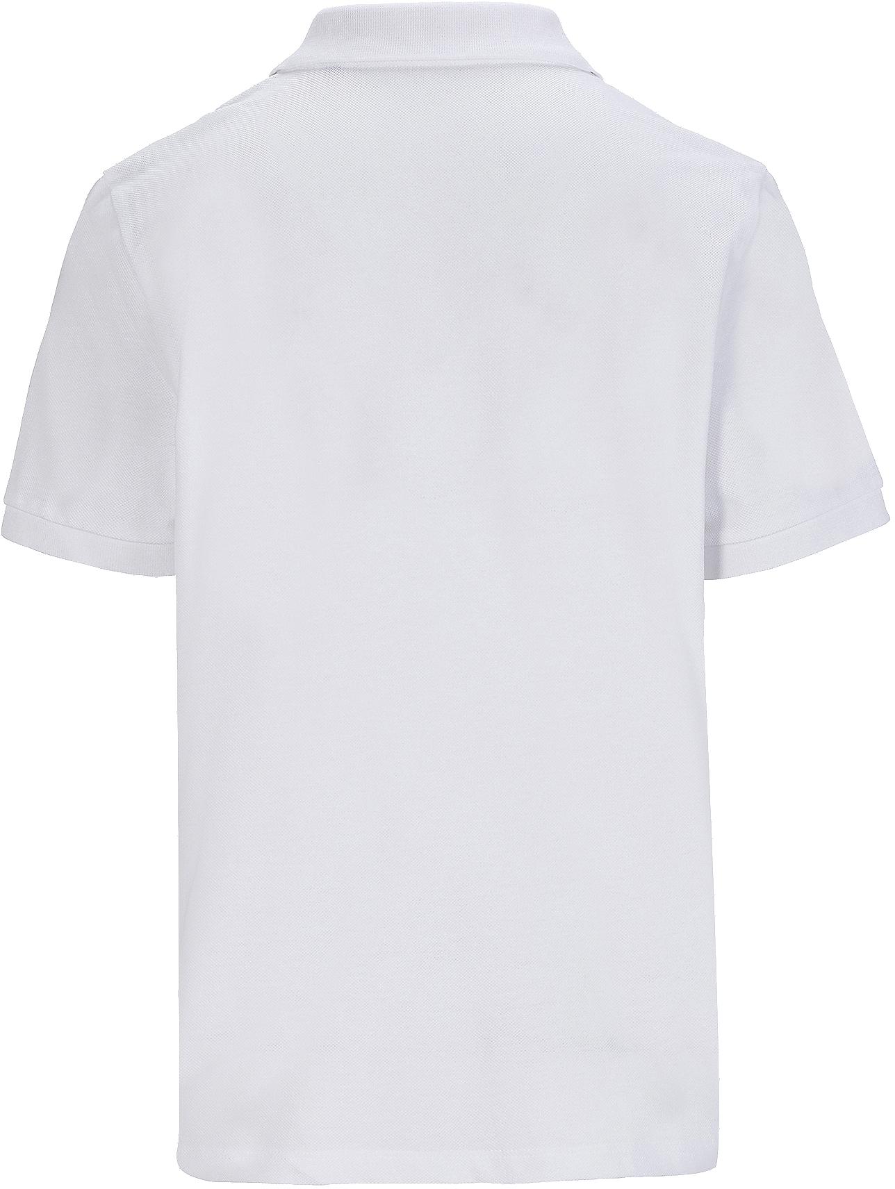 Поло бавовняне жіноче Sol’s PACIFIC WOMEN 04440102 L Білийфото5