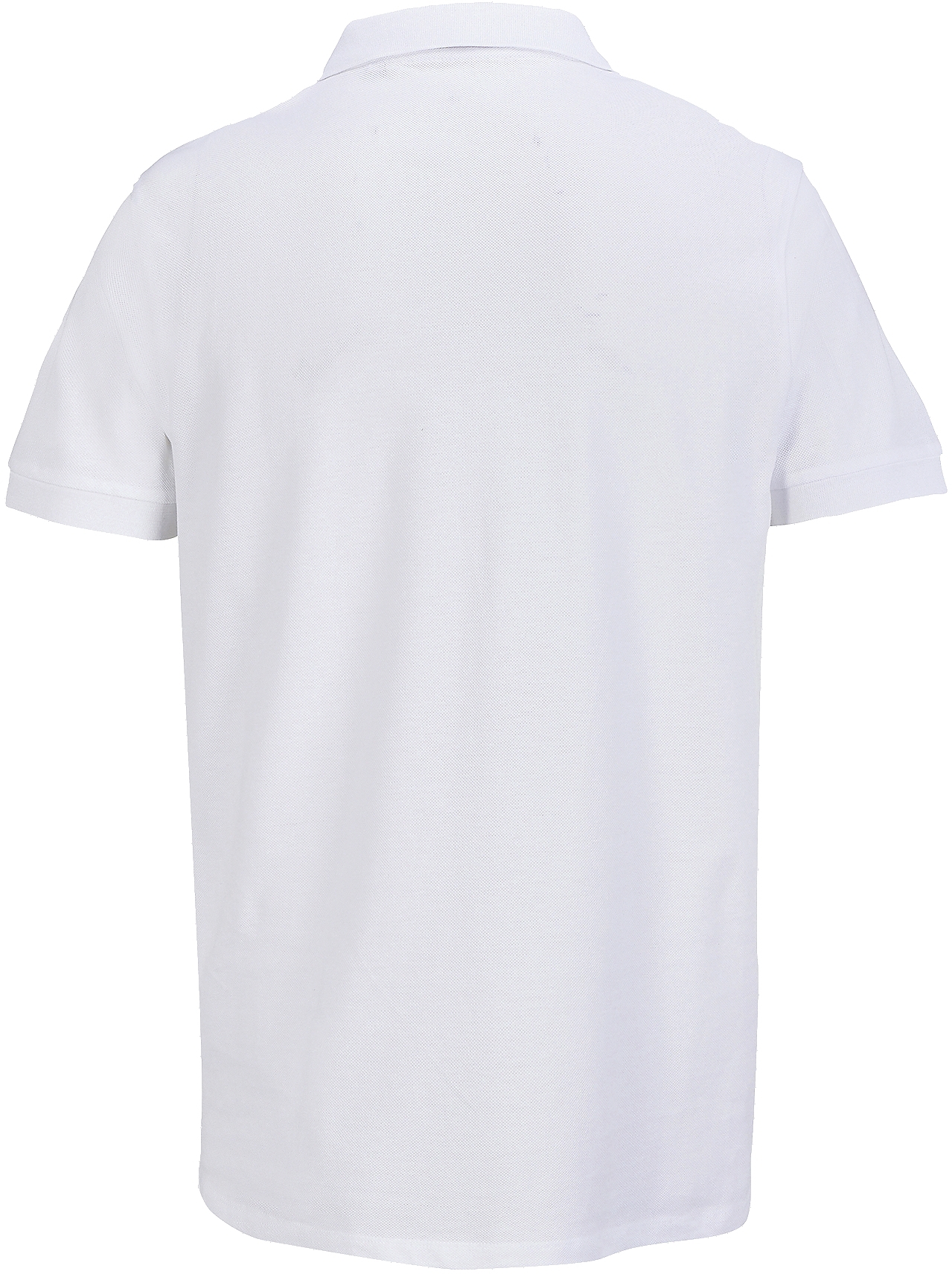 Поло хлопковое мужское Sol’s PACIFIC 04439102 L белый фото 5
