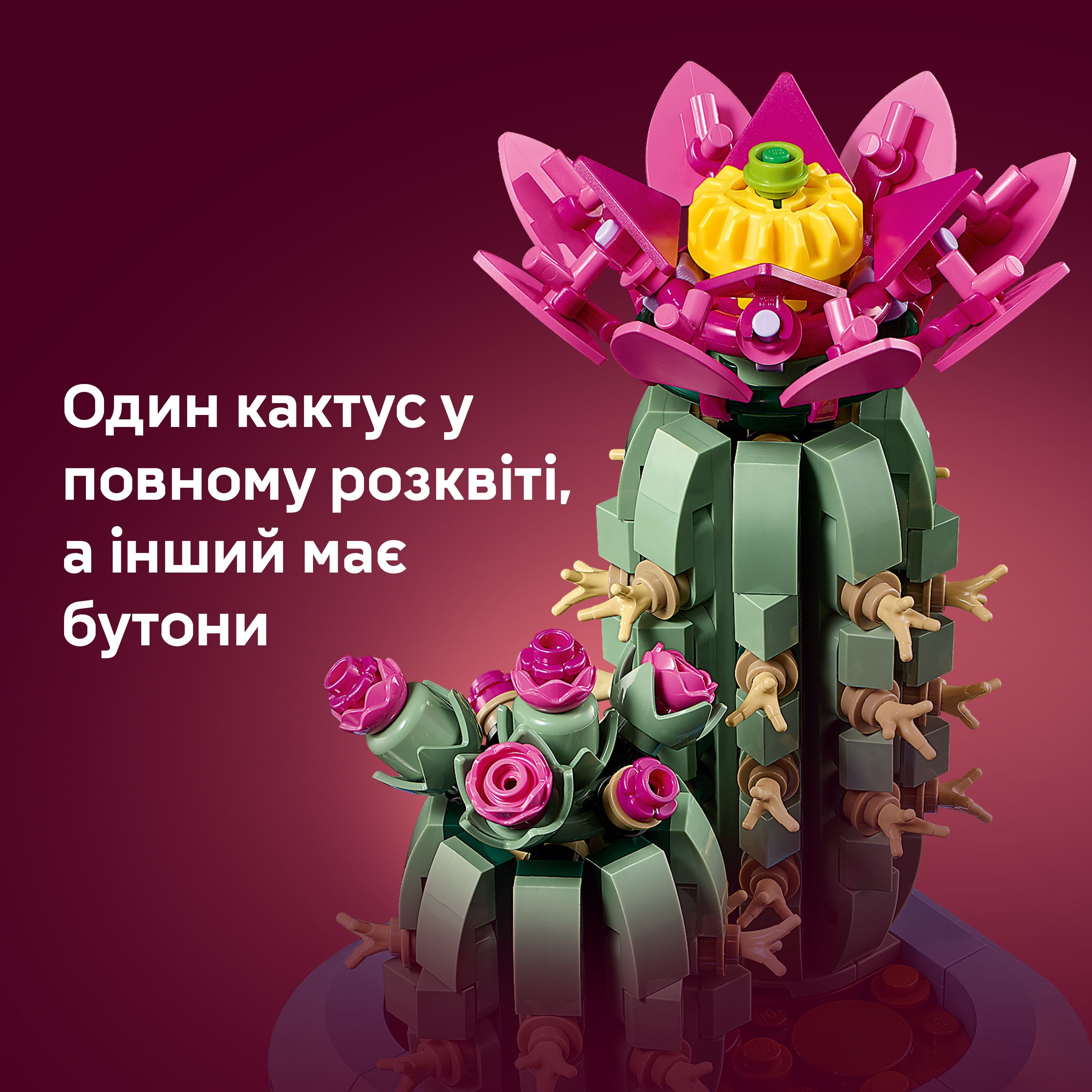 LEGO 11509 Botanicals Цветение кактуса фото 6