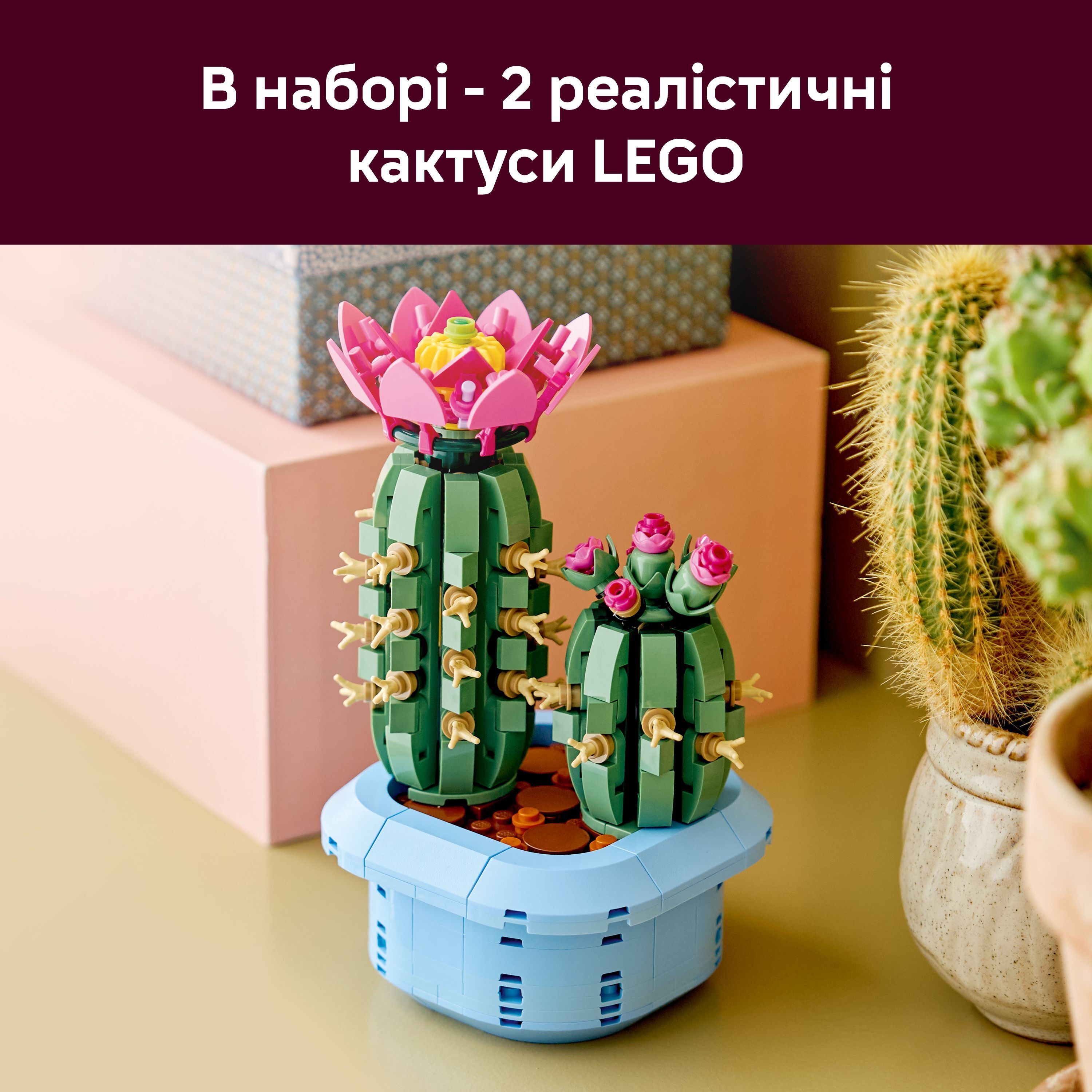 LEGO 11509 Botanicals Цветение кактуса фото 5