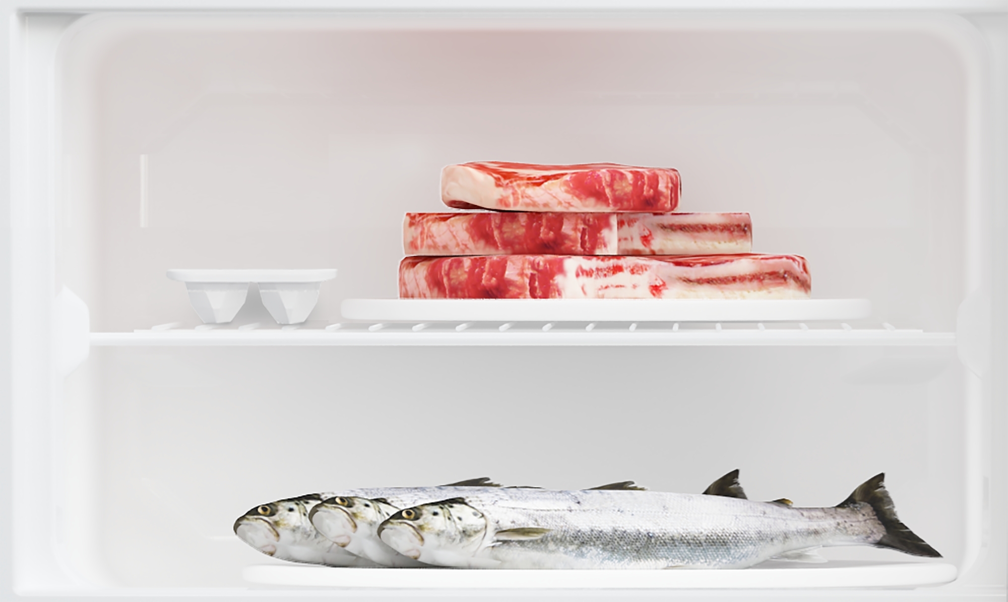 Холодильник Beko RDSA280K40WNфото5