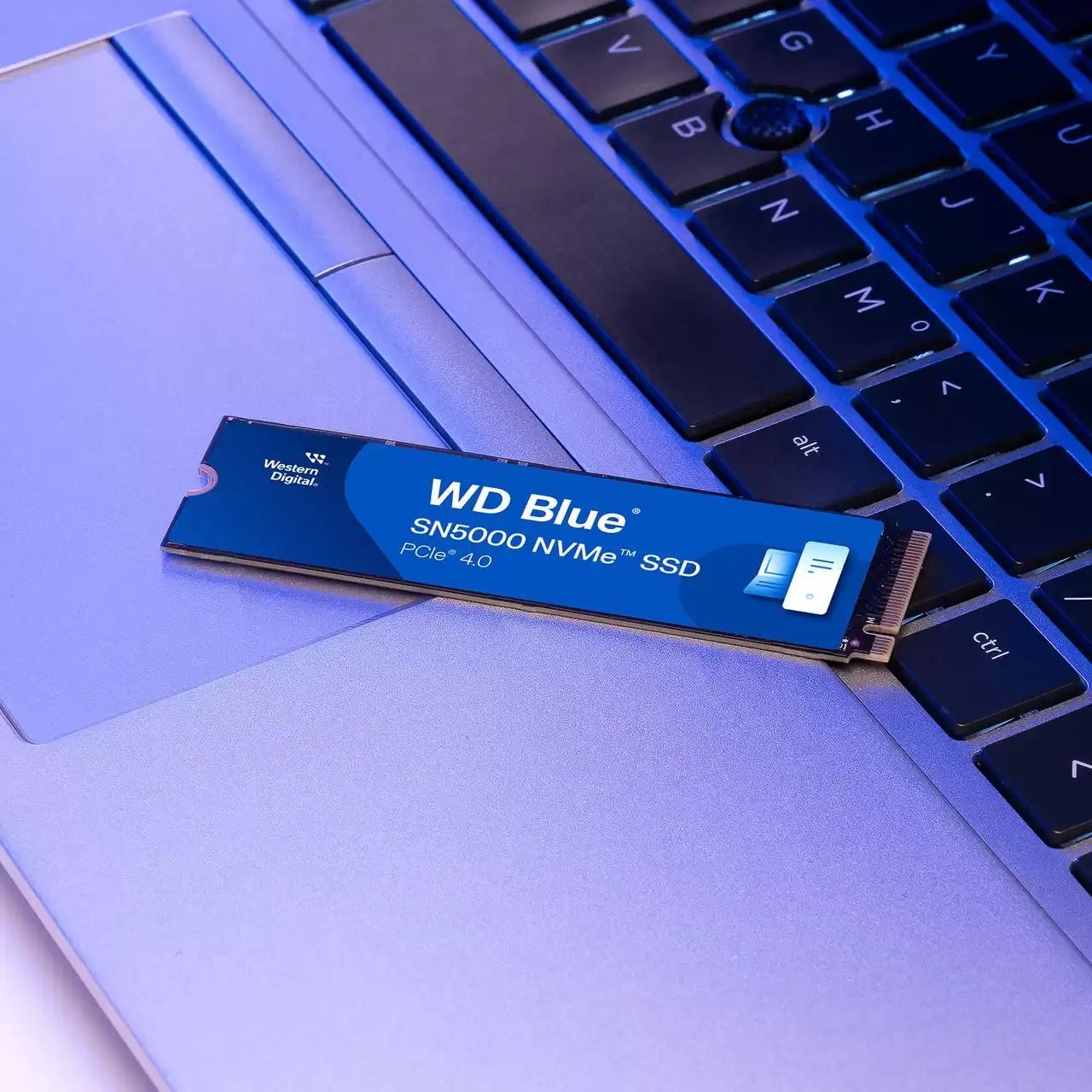 Накопичувач SSD WD M.2 4TB PCIe 4.0 Blue SN5000 (WDS400T4B0E)фото3